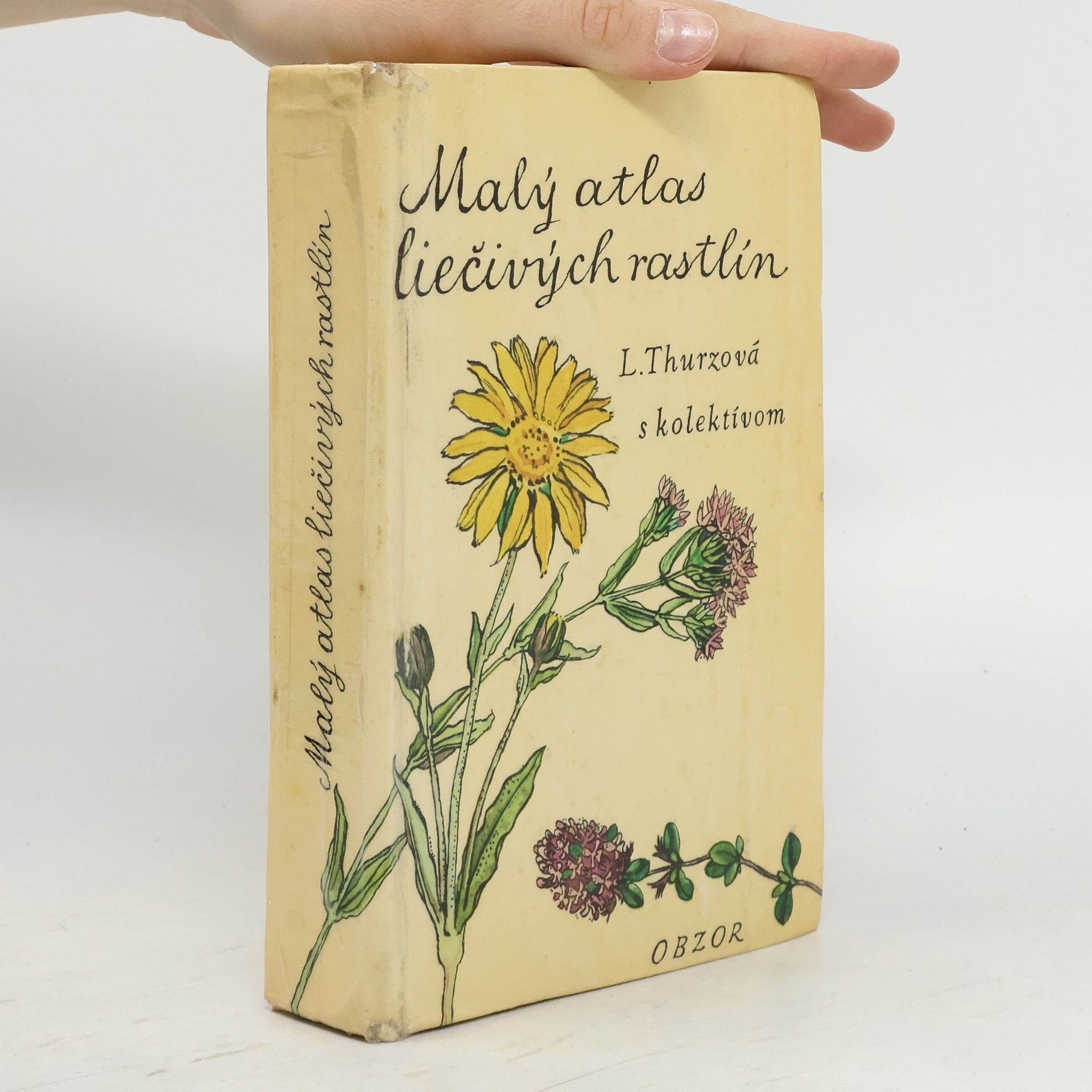 Collectif d'auteurs Malý atlas liečivých rastlin