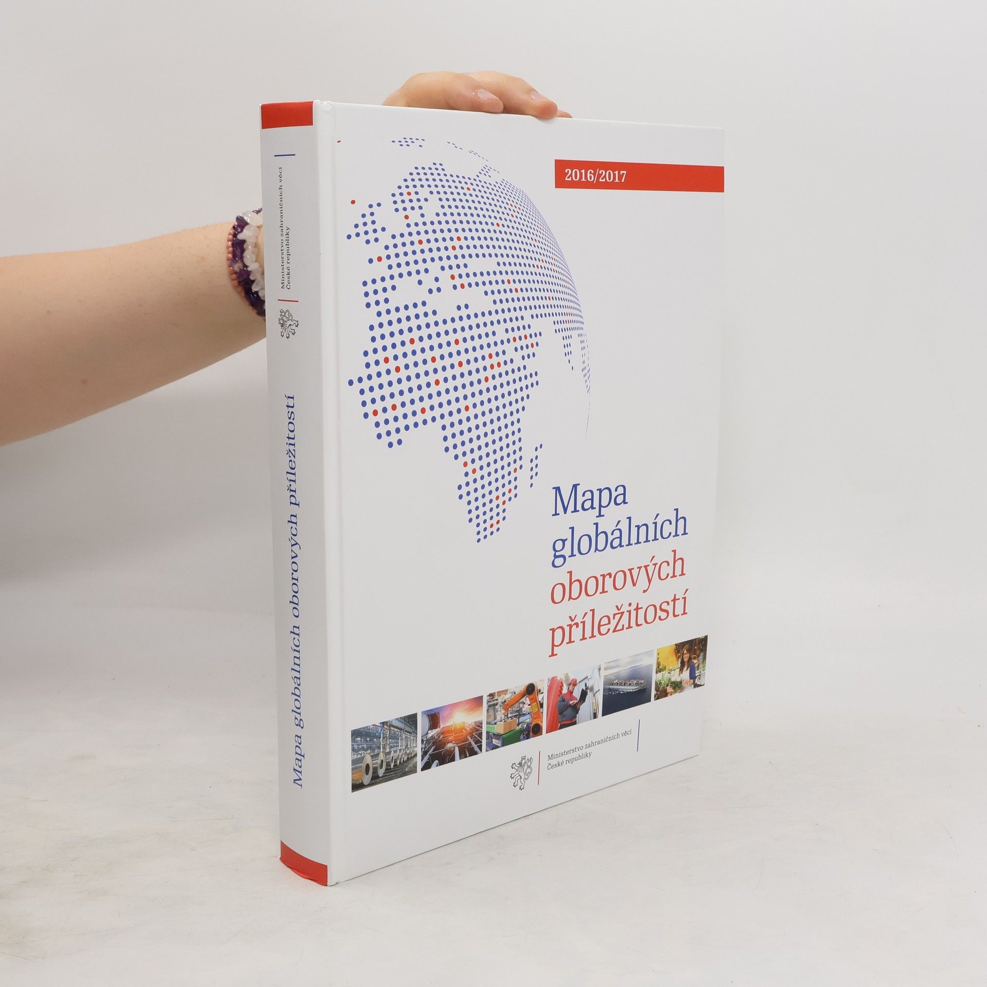 Martin Tlapa Mapa globálních oborových příležitostí