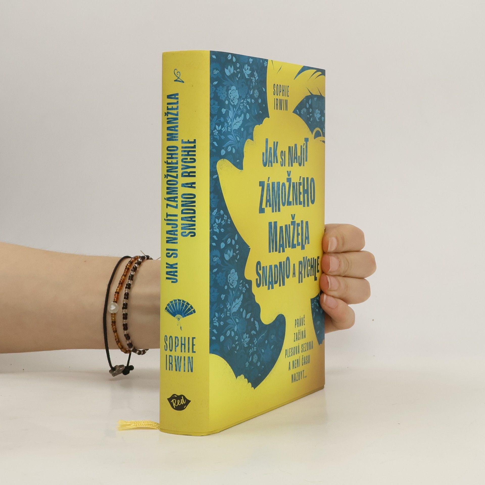 Sophie Irwin Jak si najít zámožného manžela snadno a rychle