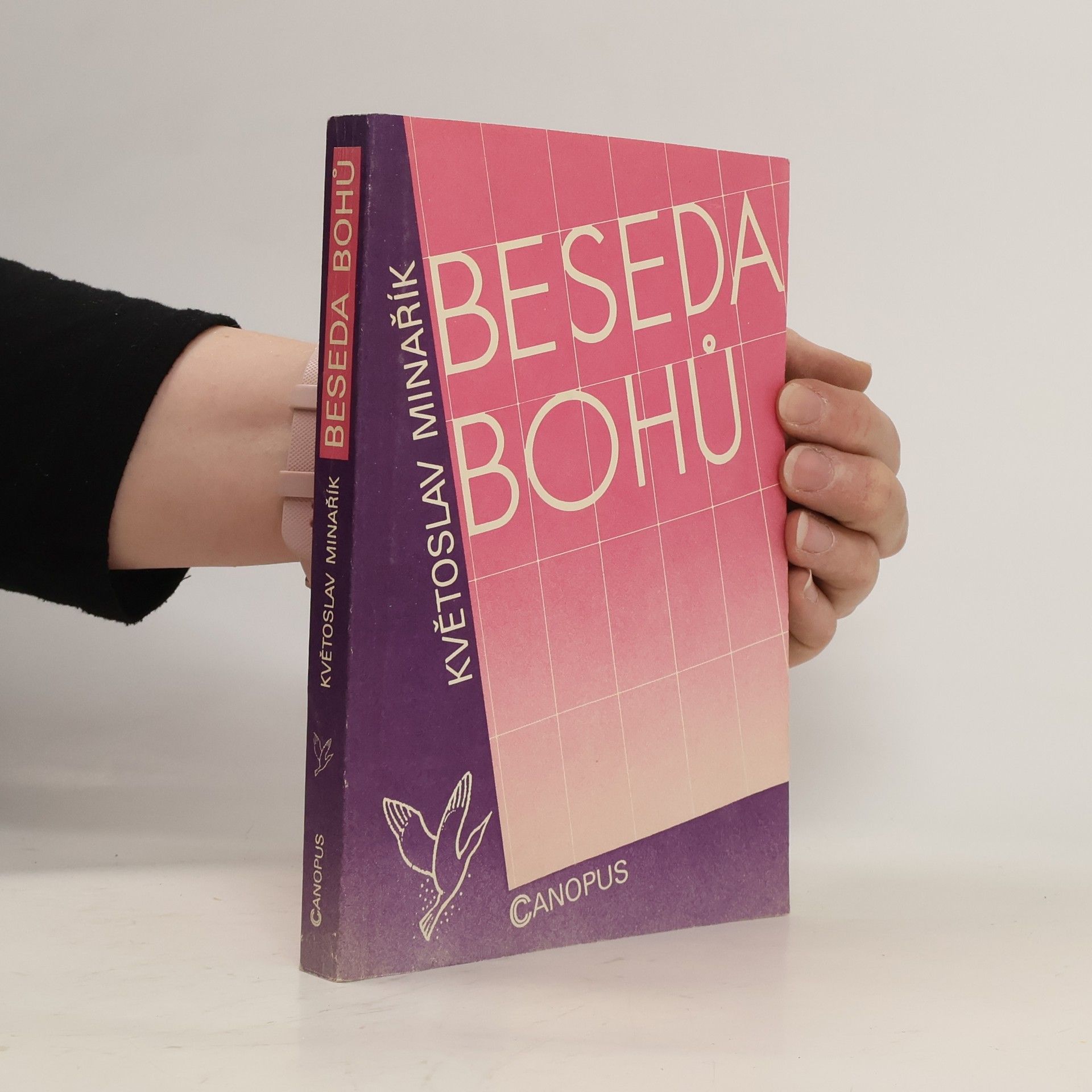 Květoslav Minařík Beseda bohů