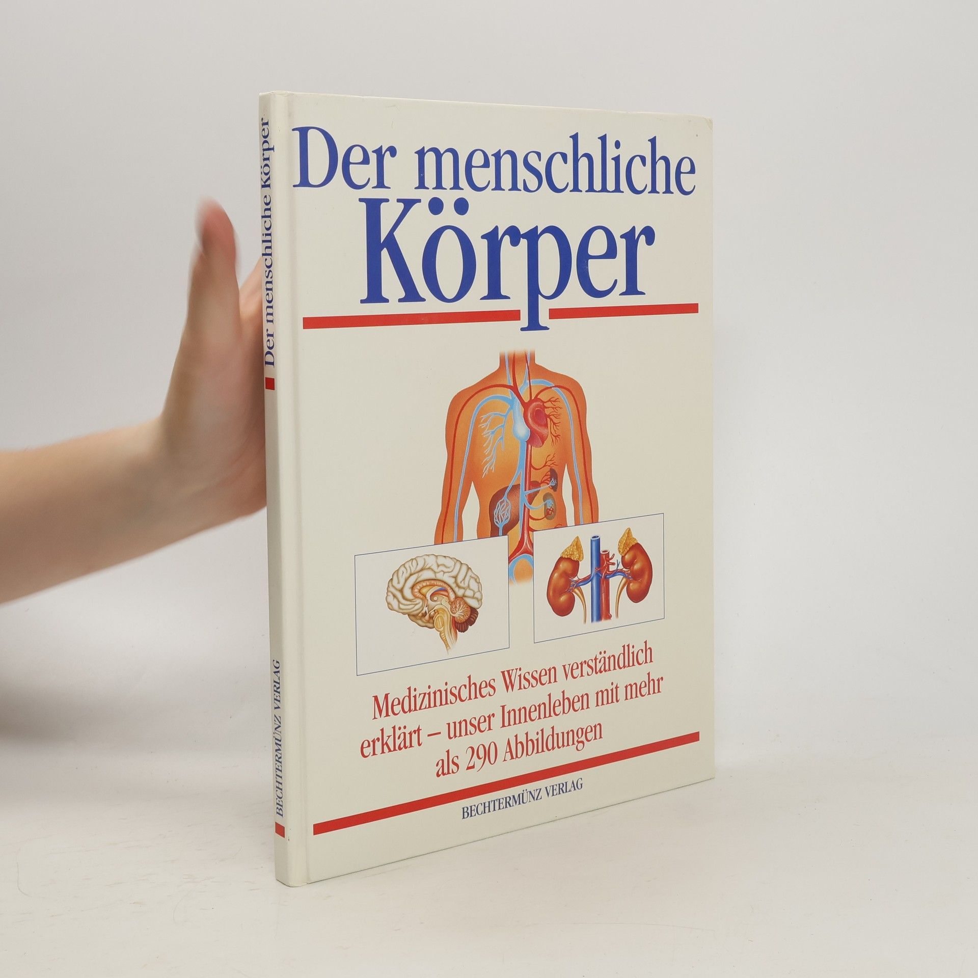 Michael Damm Der menschliche Körper