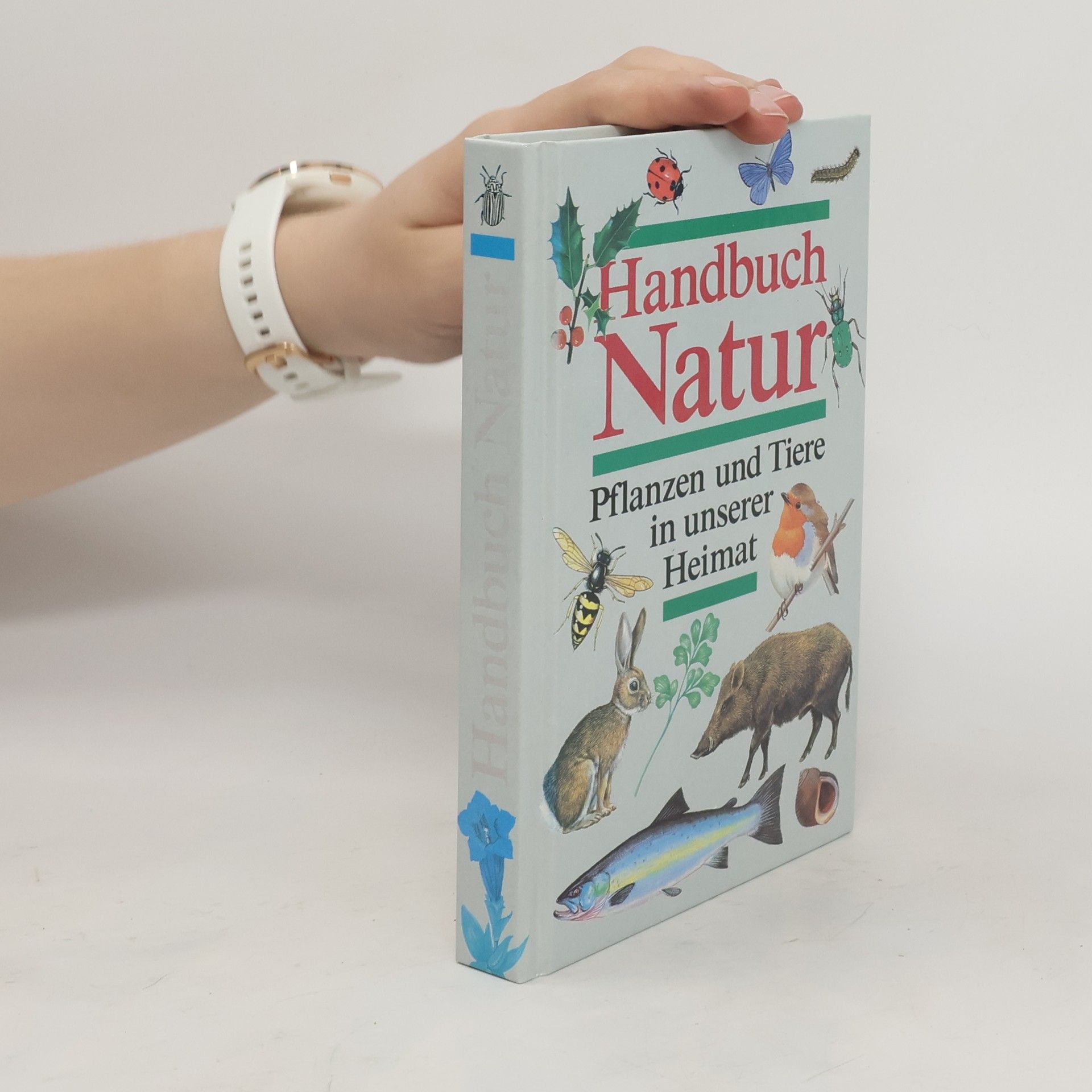 Marcus Würmli Handbuch Natur
