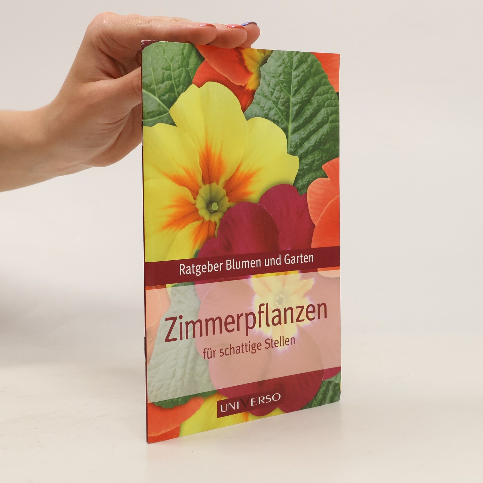 Autorenkollektiv Zimmerpflanzen für schattige Stellen