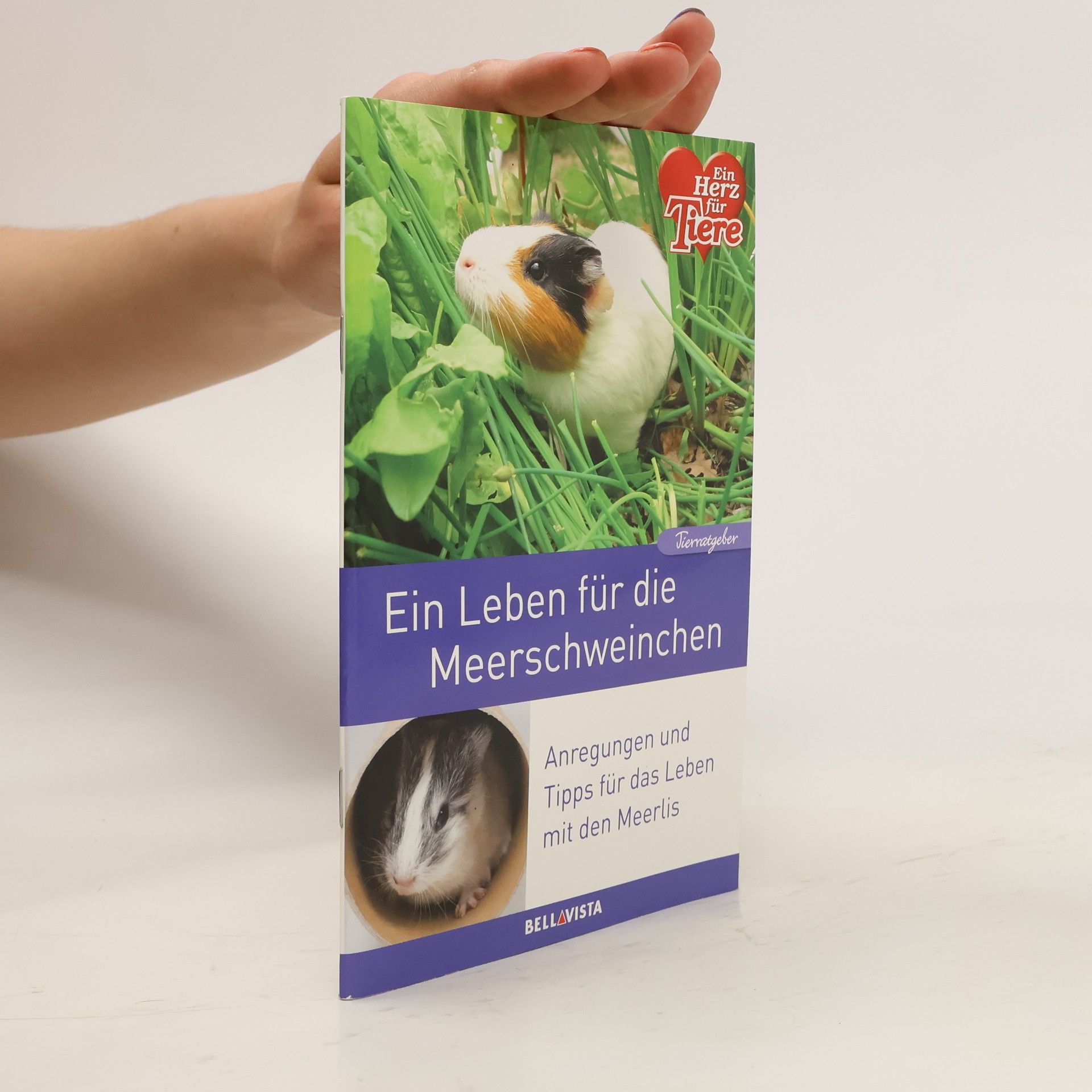 kolektiv Ein Leben für die Meerschweinchen