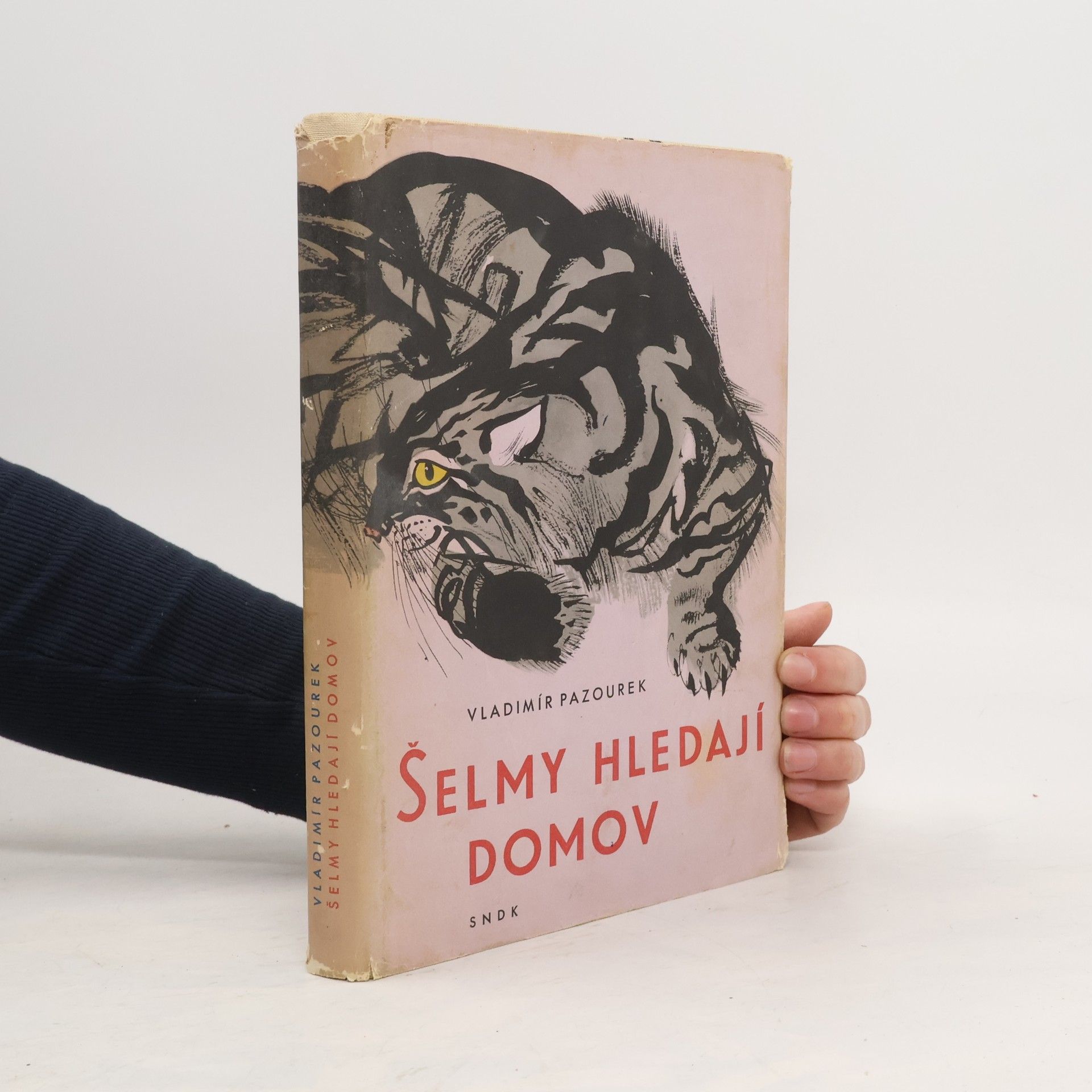 Vladimír Pazourek Šelmy hledají domov