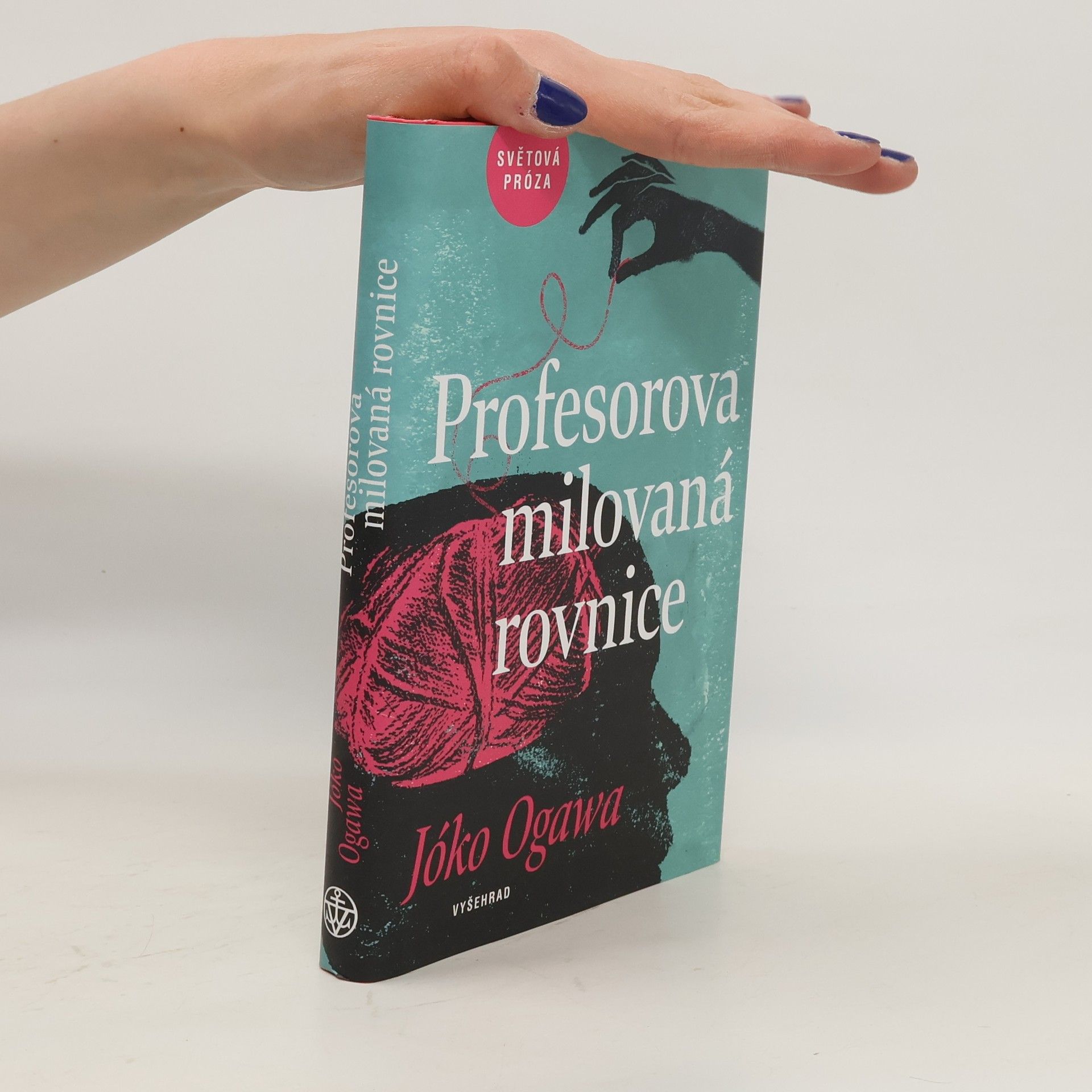 Martin Tirala Profesorova milovaná rovnice