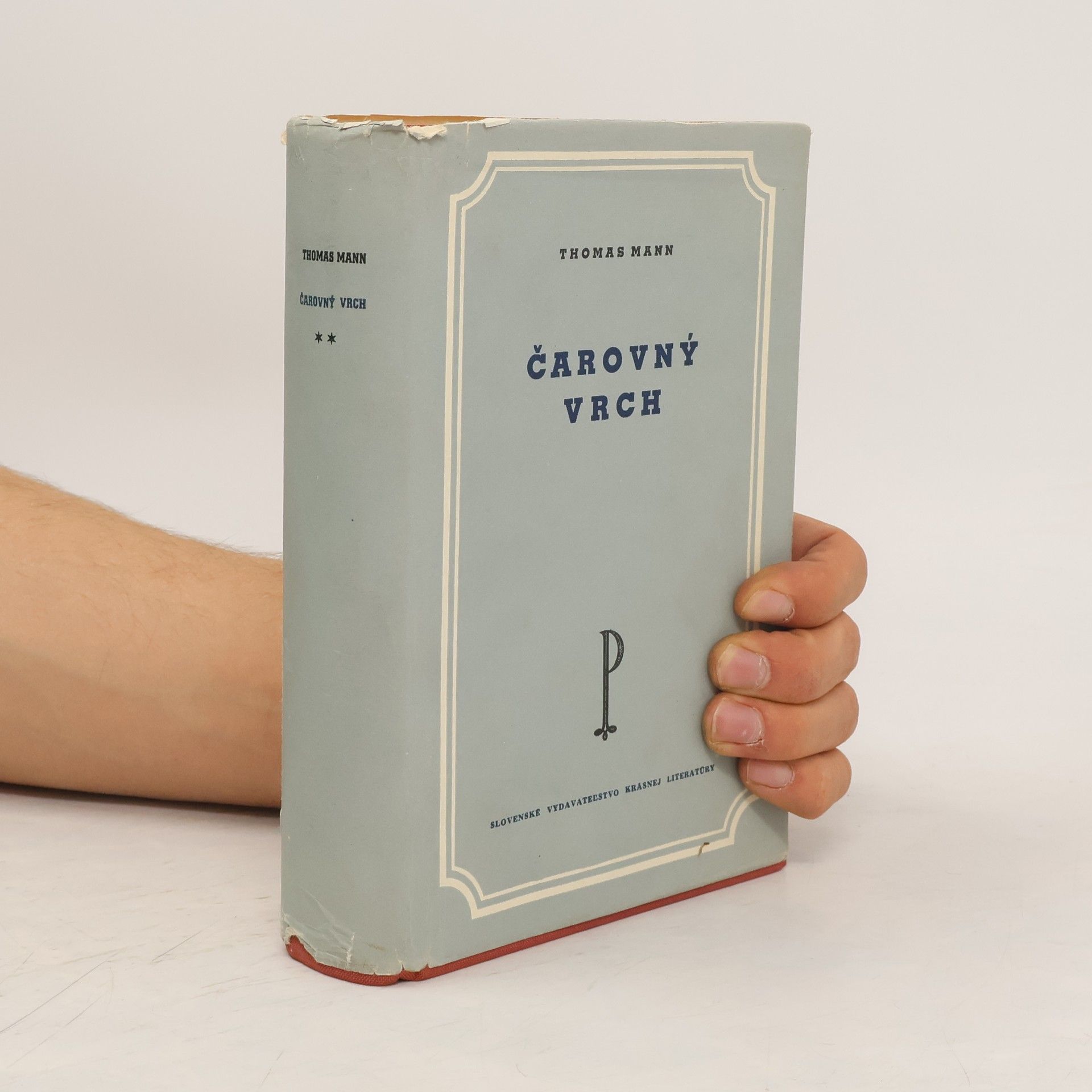 Thomas Mann Čarovný vrch I