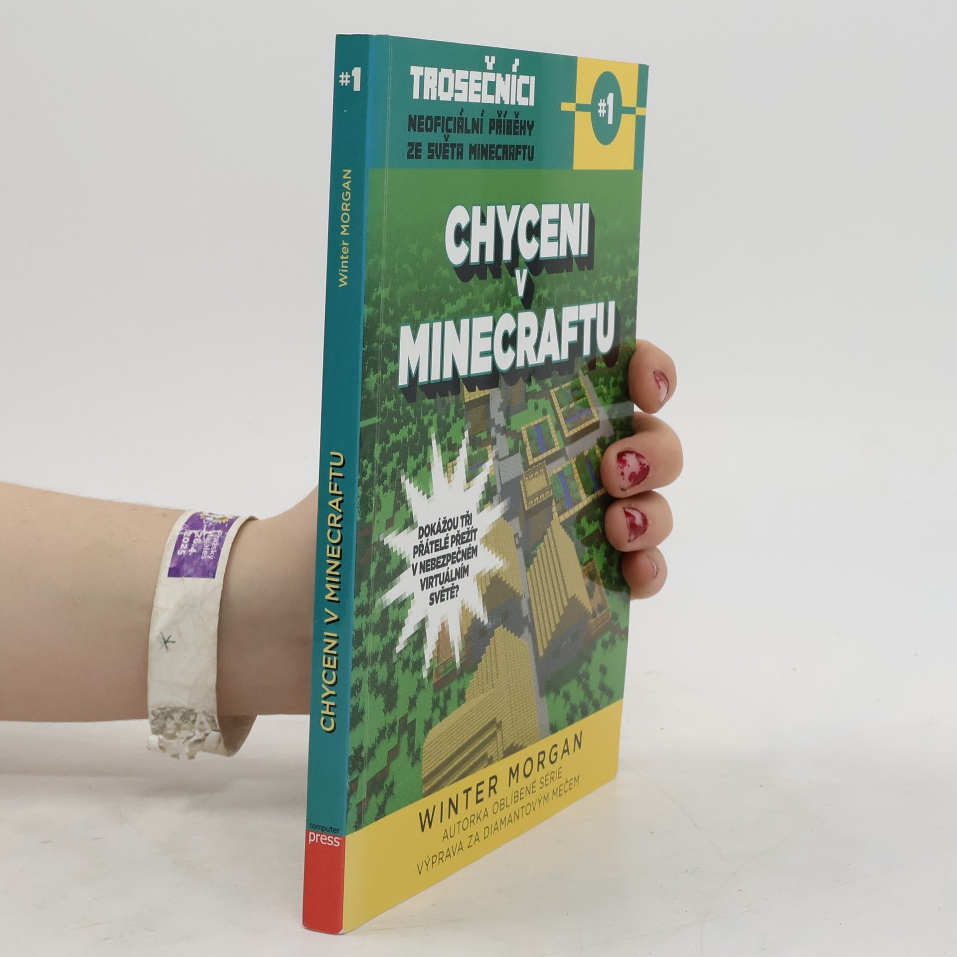 Winter Morgan Trosečníci. Kniha první, Chyceni v Minecraftu