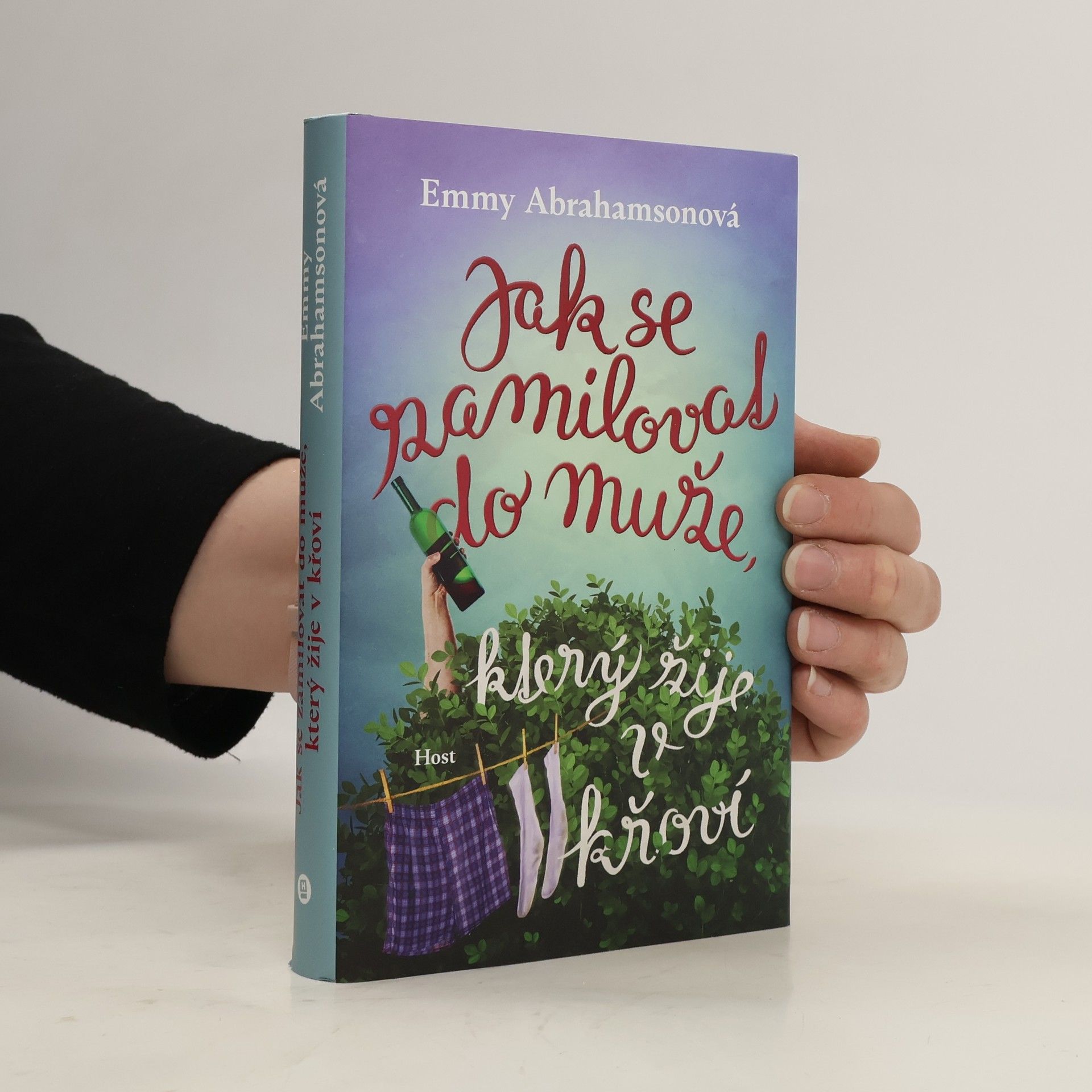 Emmy Abrahamson Jak se zamilovat do muže, který žije v křoví