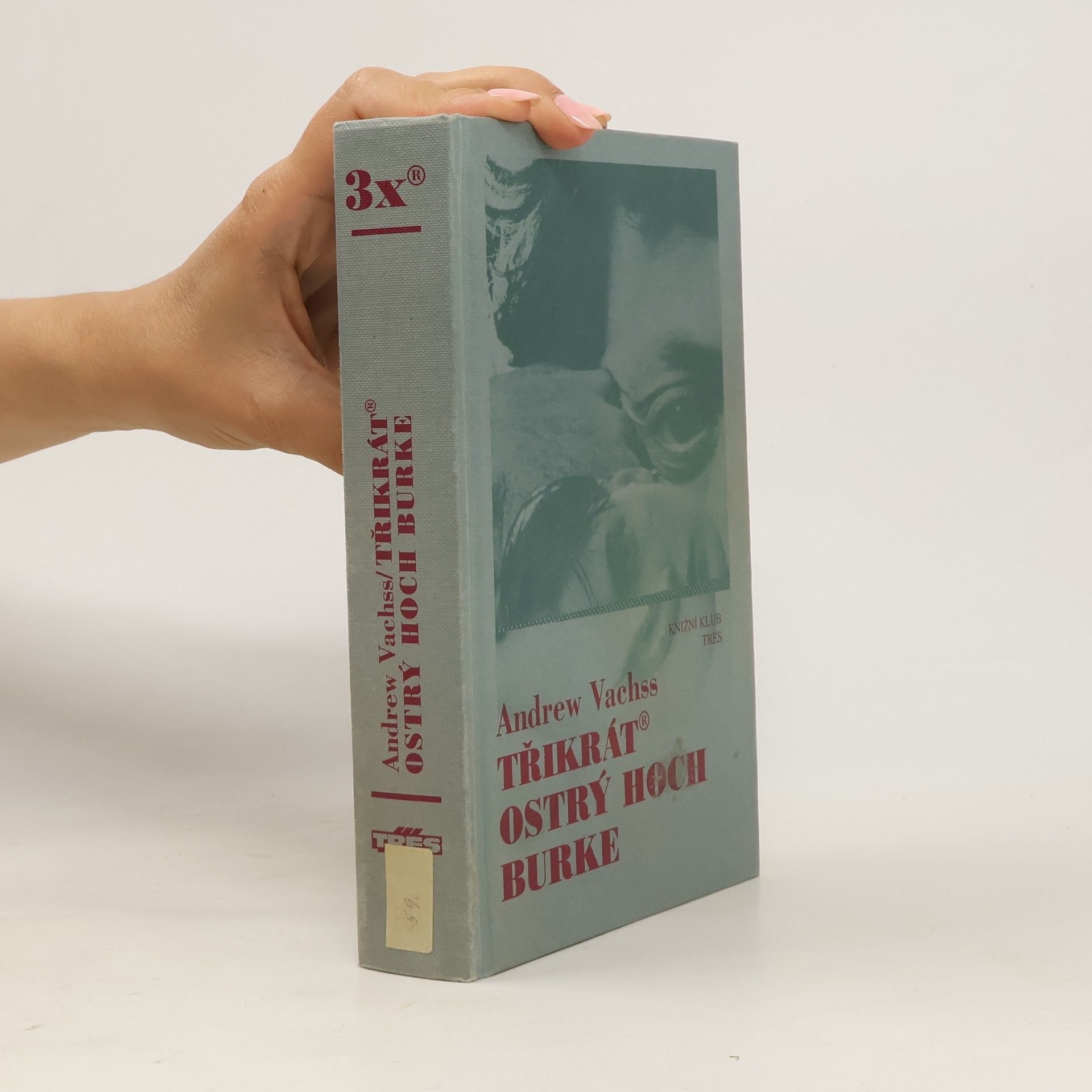 Andrew H. Vachss Třikrát ostrý hoch Burke