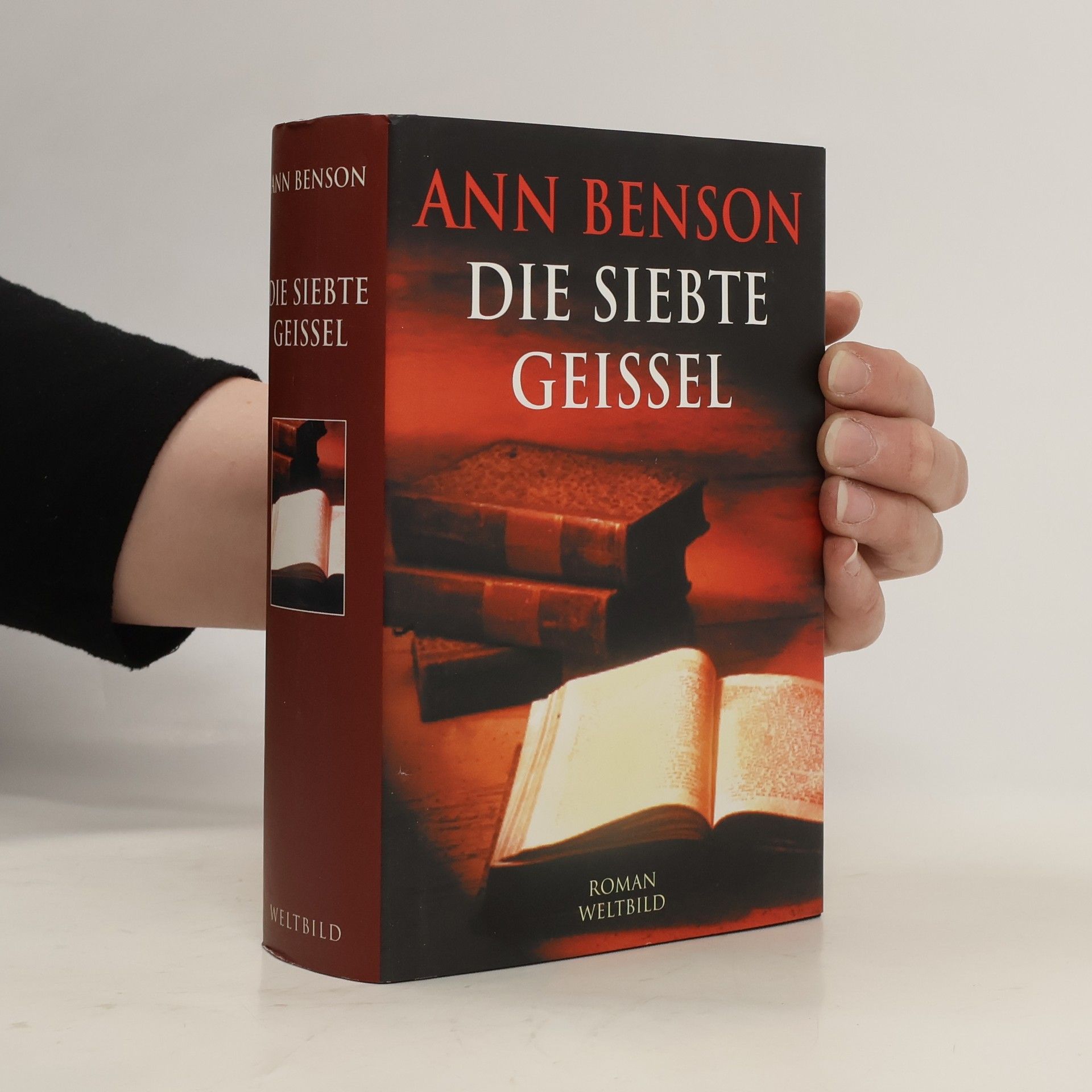Ann Benson Die siebte Geissel