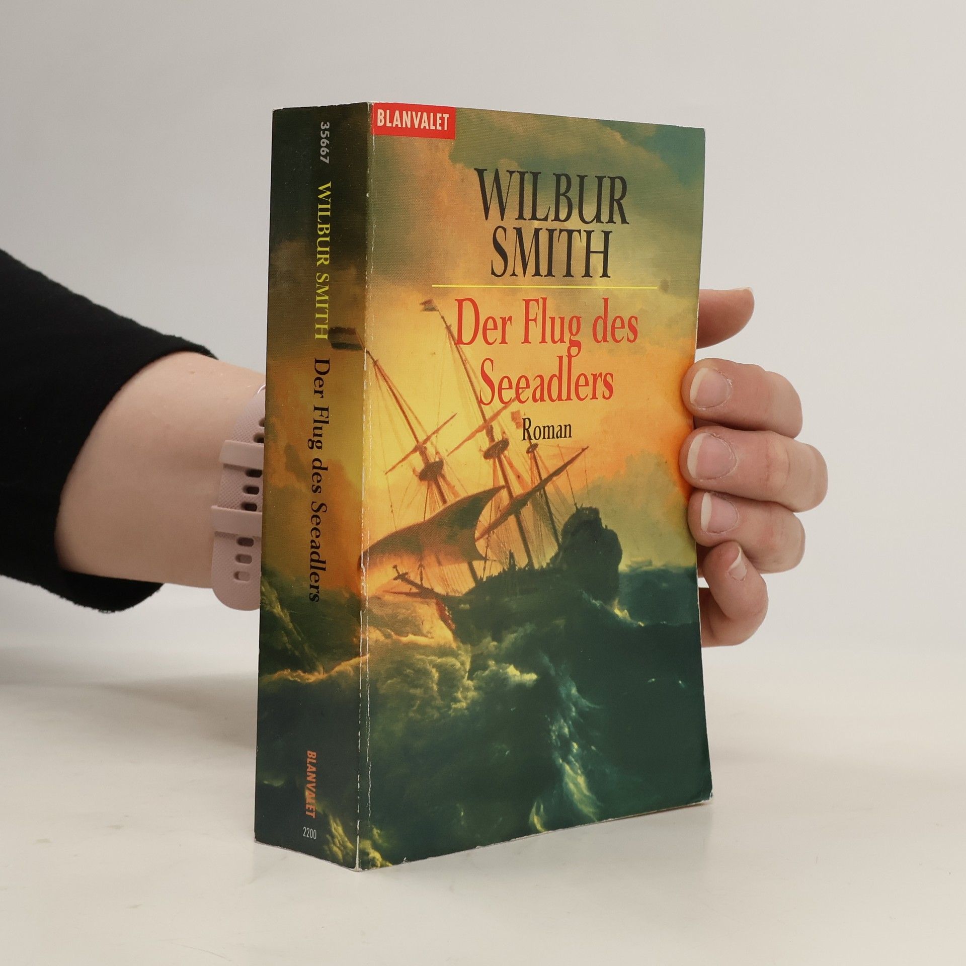 Wilbur A. Smith Der Flug des Seeadlers