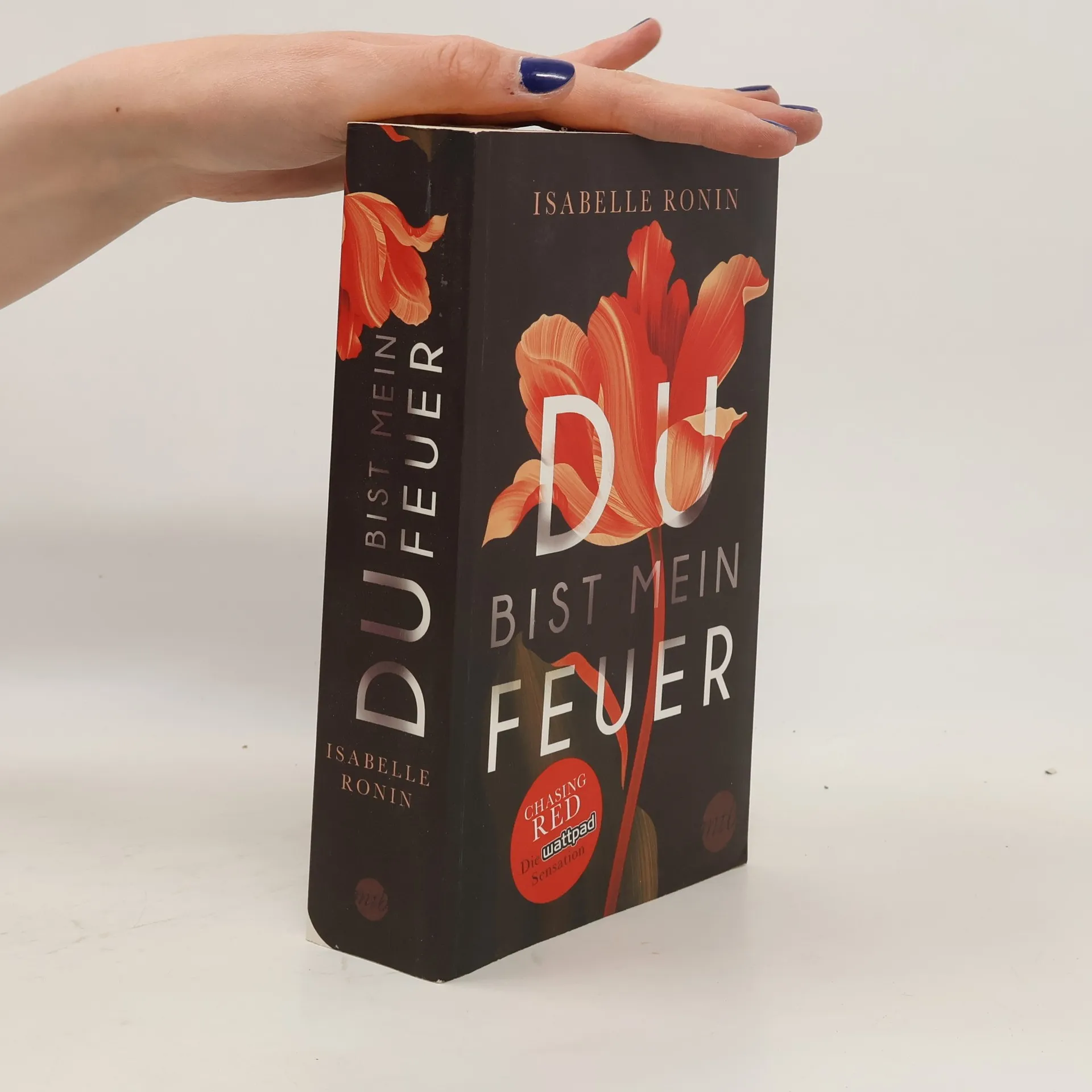 Du bist mein Feuer | Book | Isabelle Ronin | DE