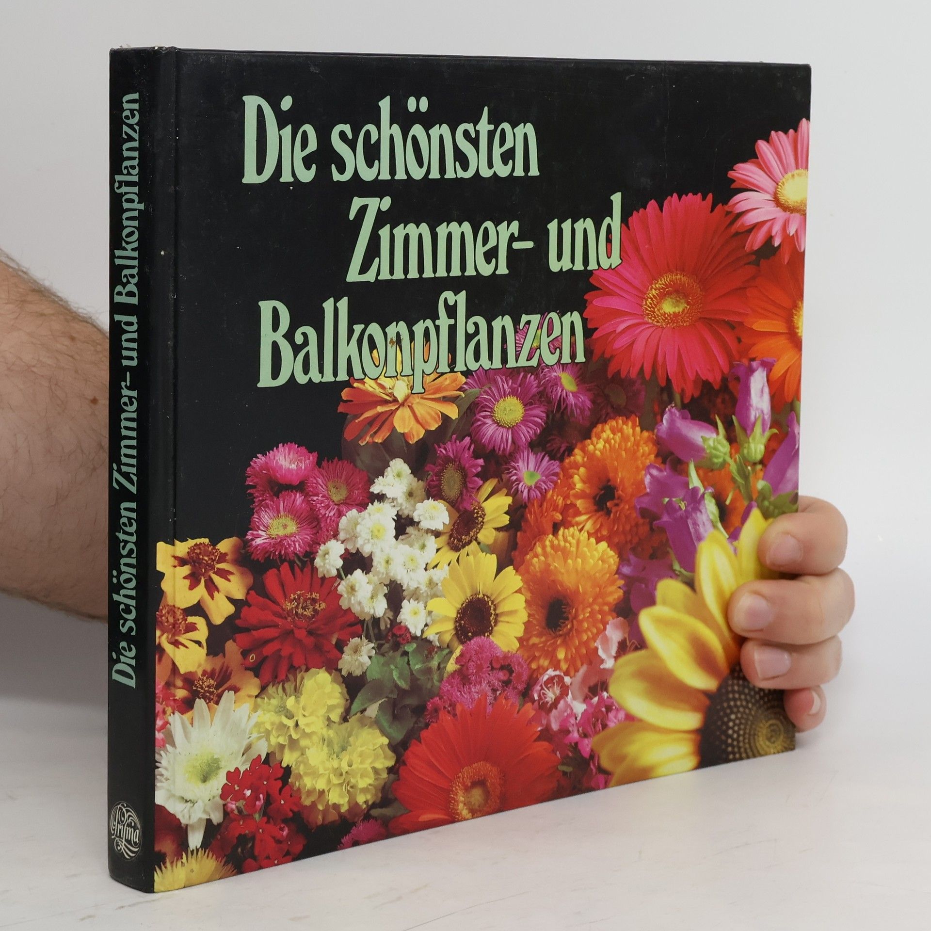 Allan Moin  Die schönsten Zimmer und Balkonpflanzen