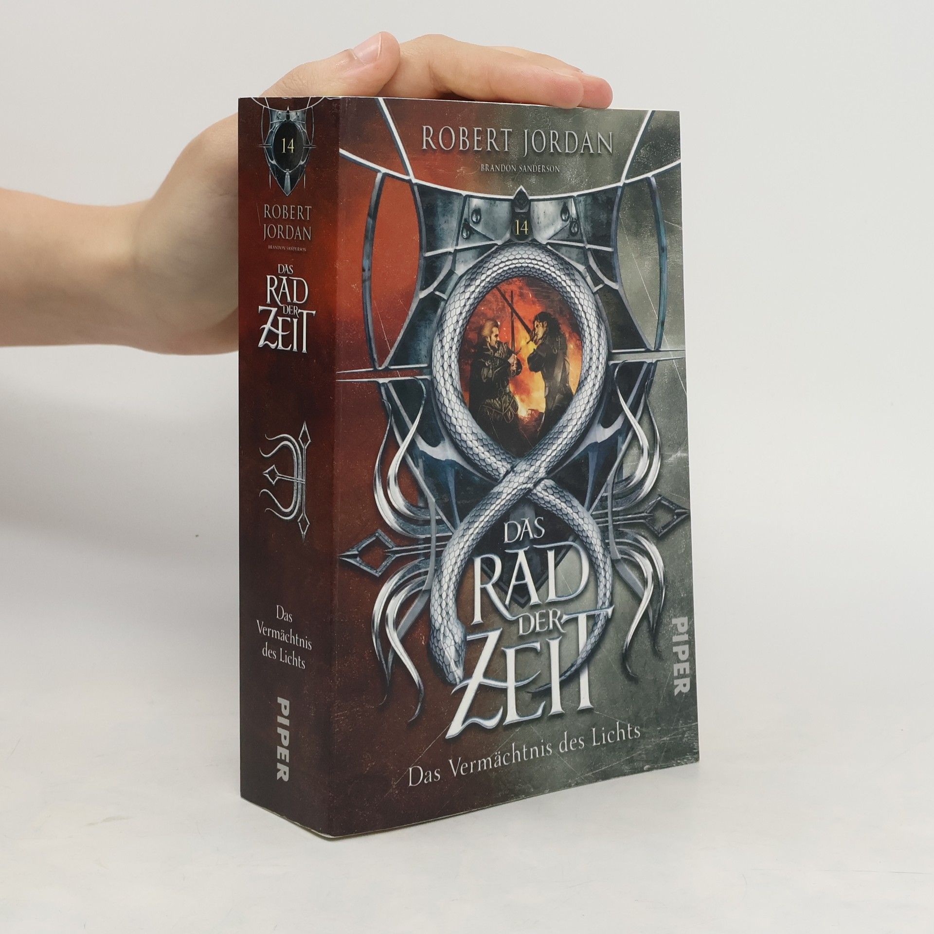 Robert Jordan Das Rad der Zeit 14
