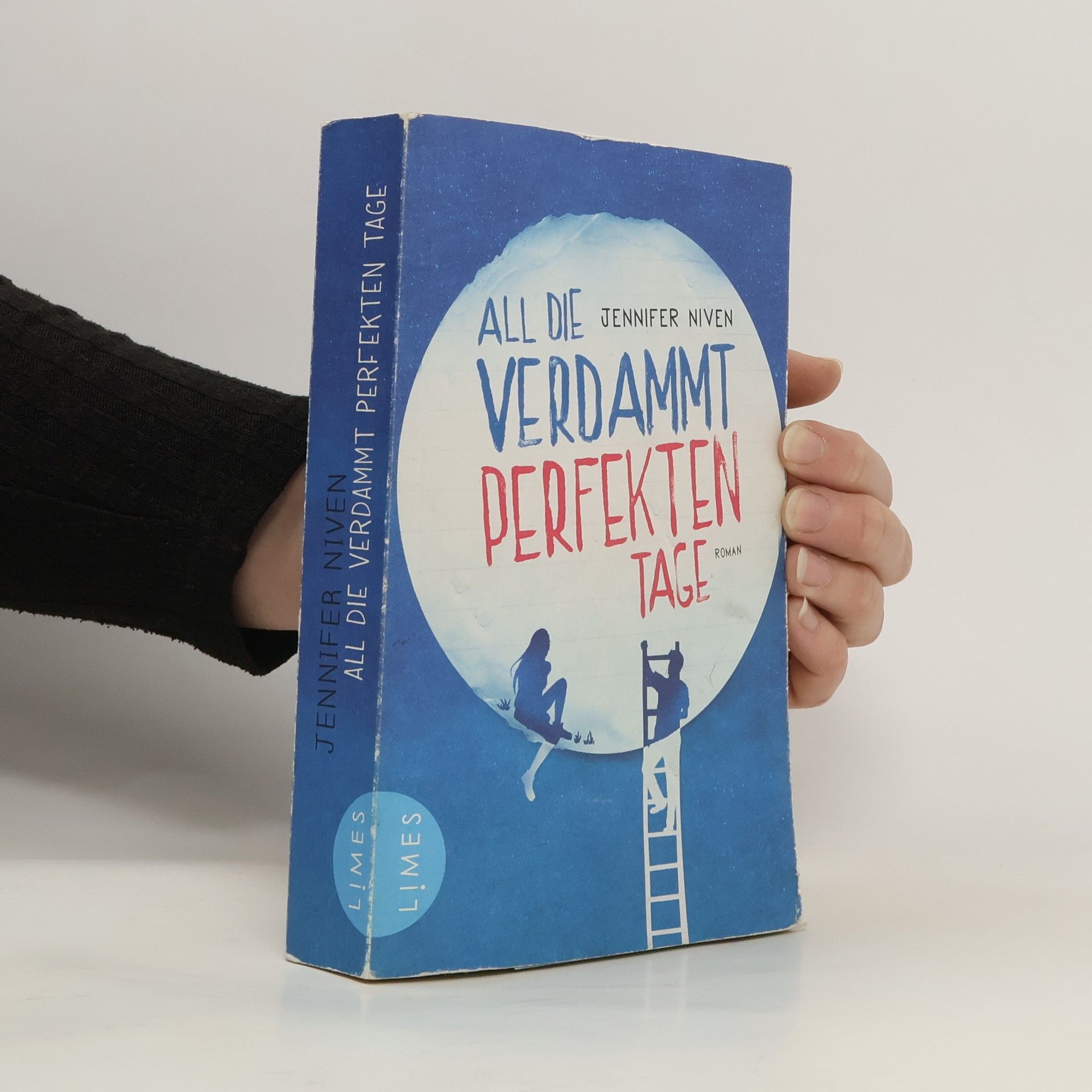 Jennifer Niven All die verdammt perfekten Tage