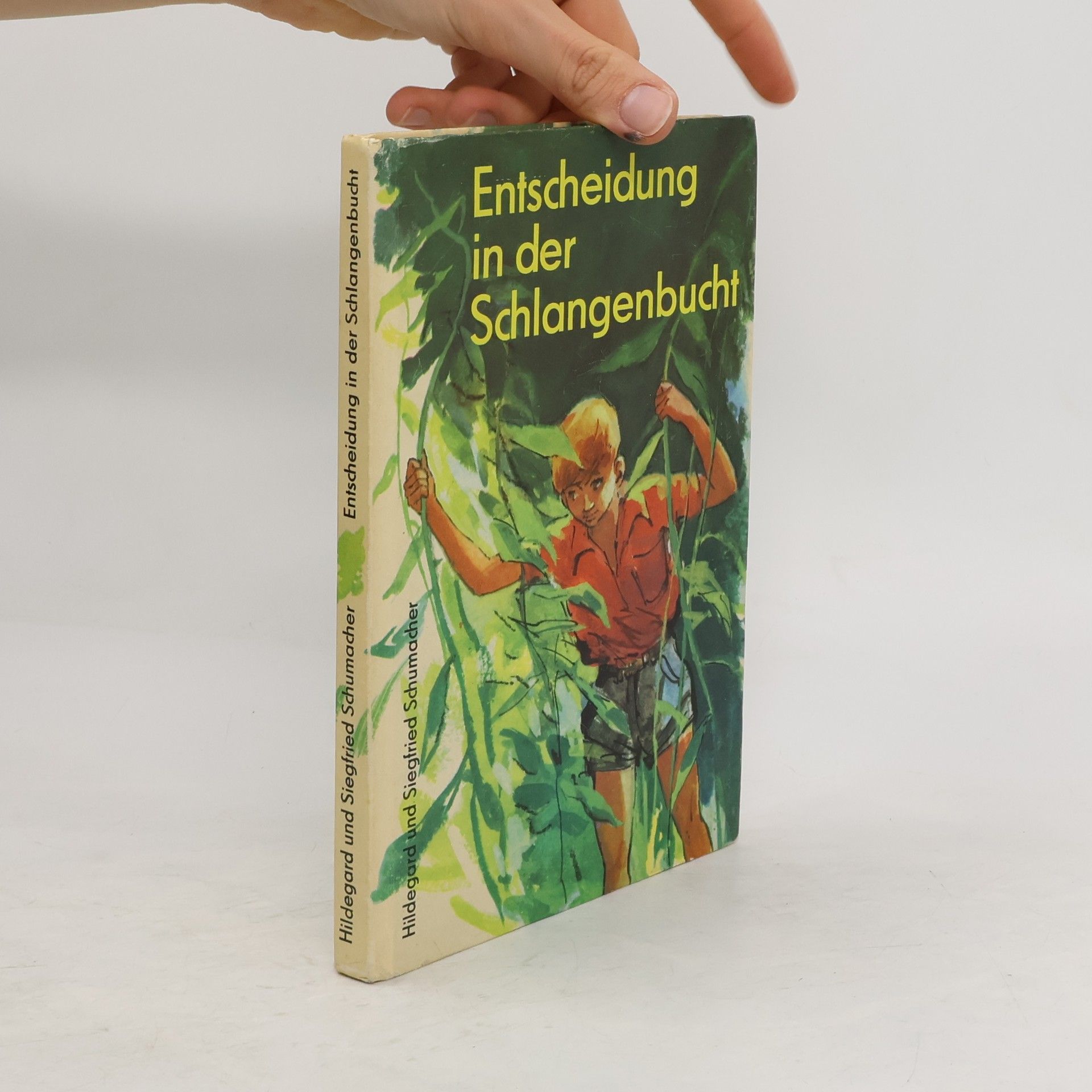 Hildegard Schumacher Entscheidung in der Schlangenbucht