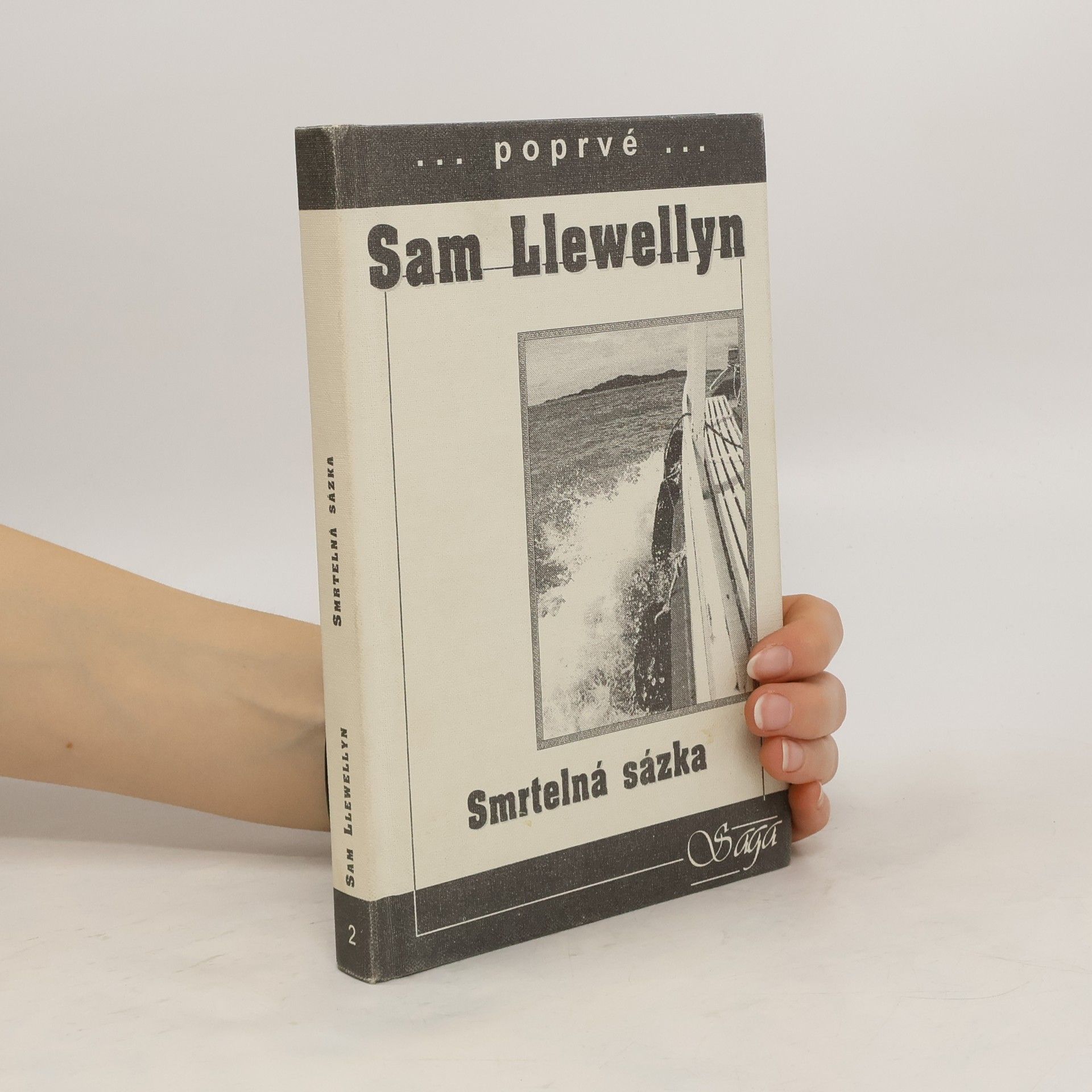 Sam Llewellyn Smrtelná sázka