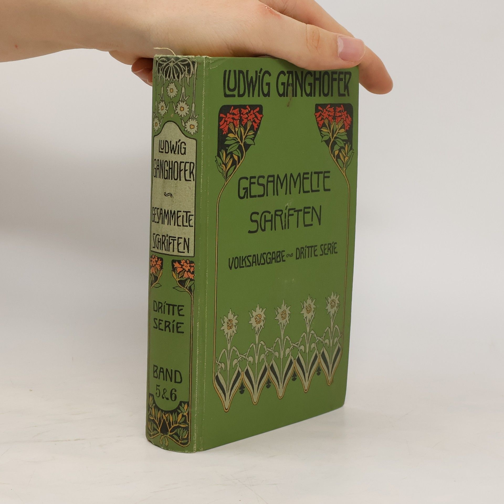 Ludwig Ganghofer Gesammelte Schriften 5 und 6