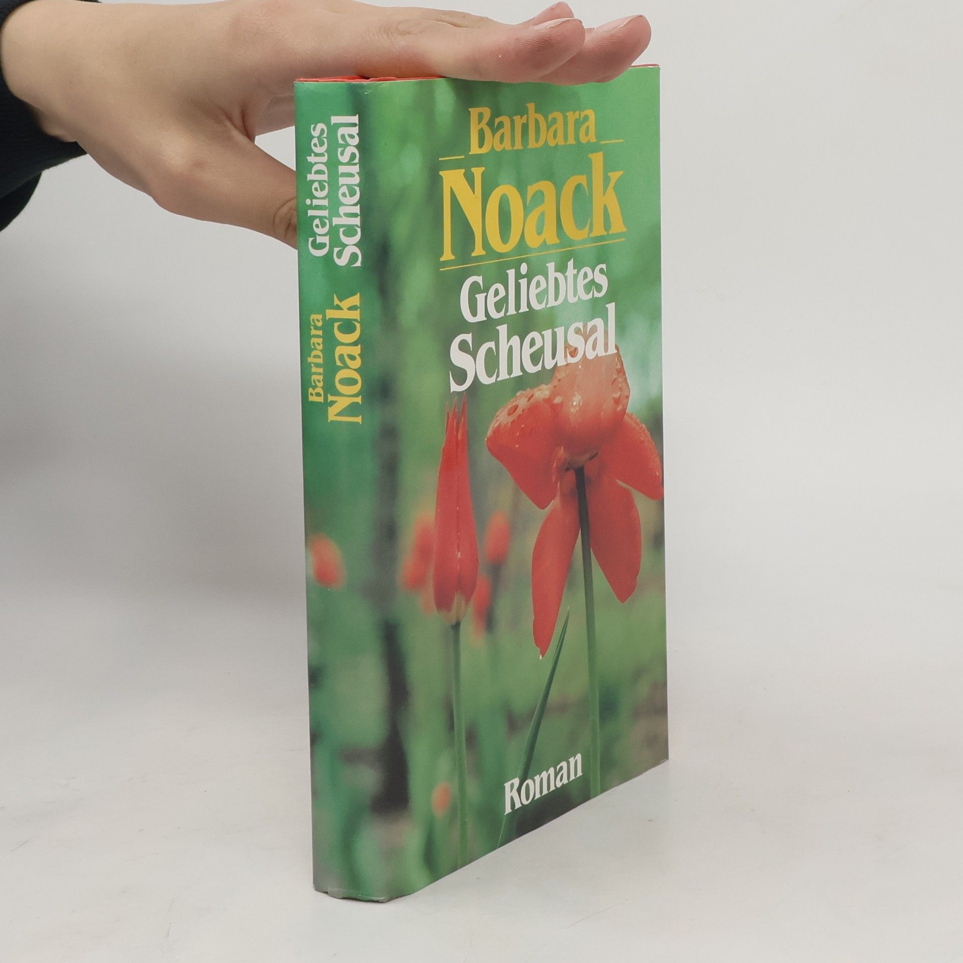 Barbara Noack Geliebtes Scheusal