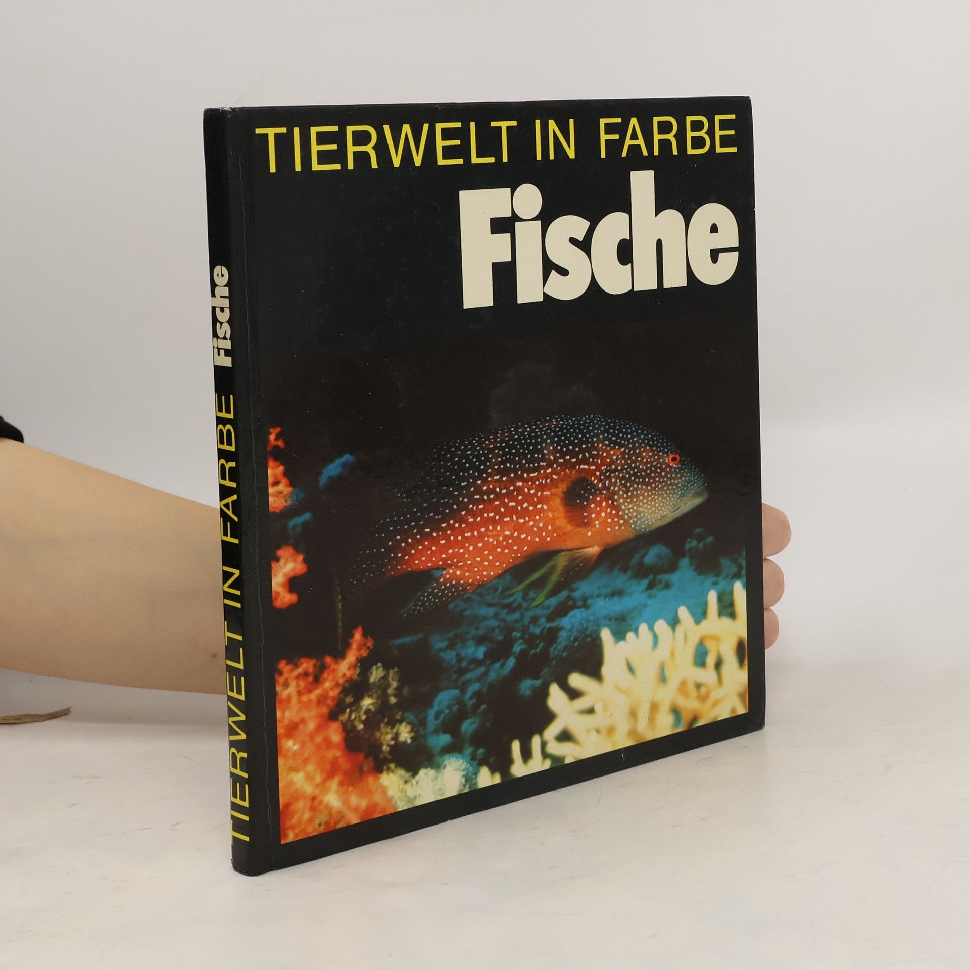 Tierwelt in Farbe. Fische