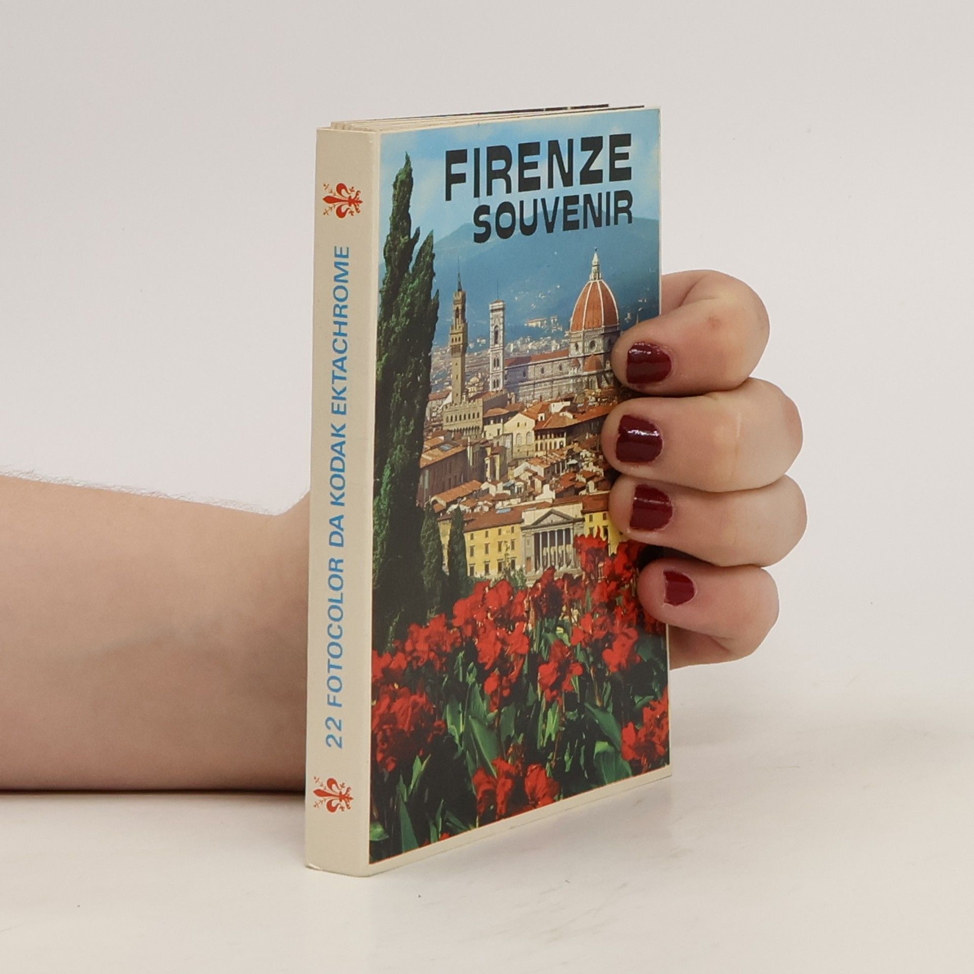 AA.VV. Firenze souvenir