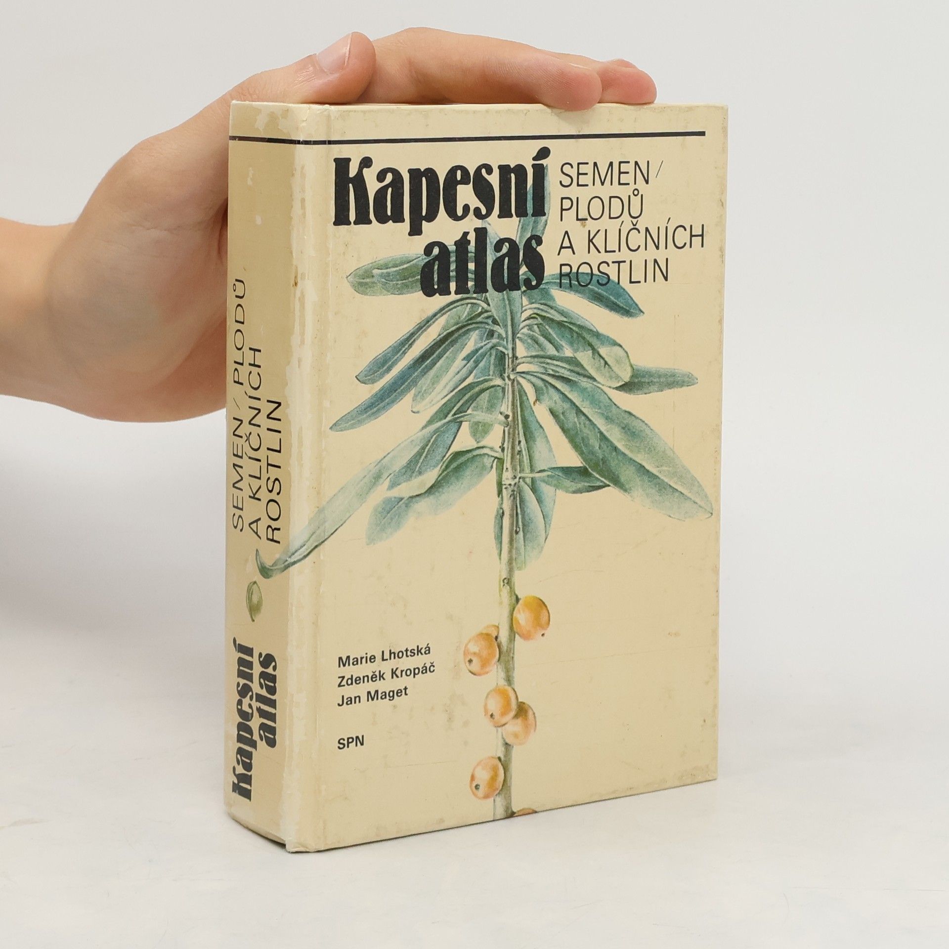 Marie Lhotská Kapesní atlas semen, plodů a klíčních rostlin