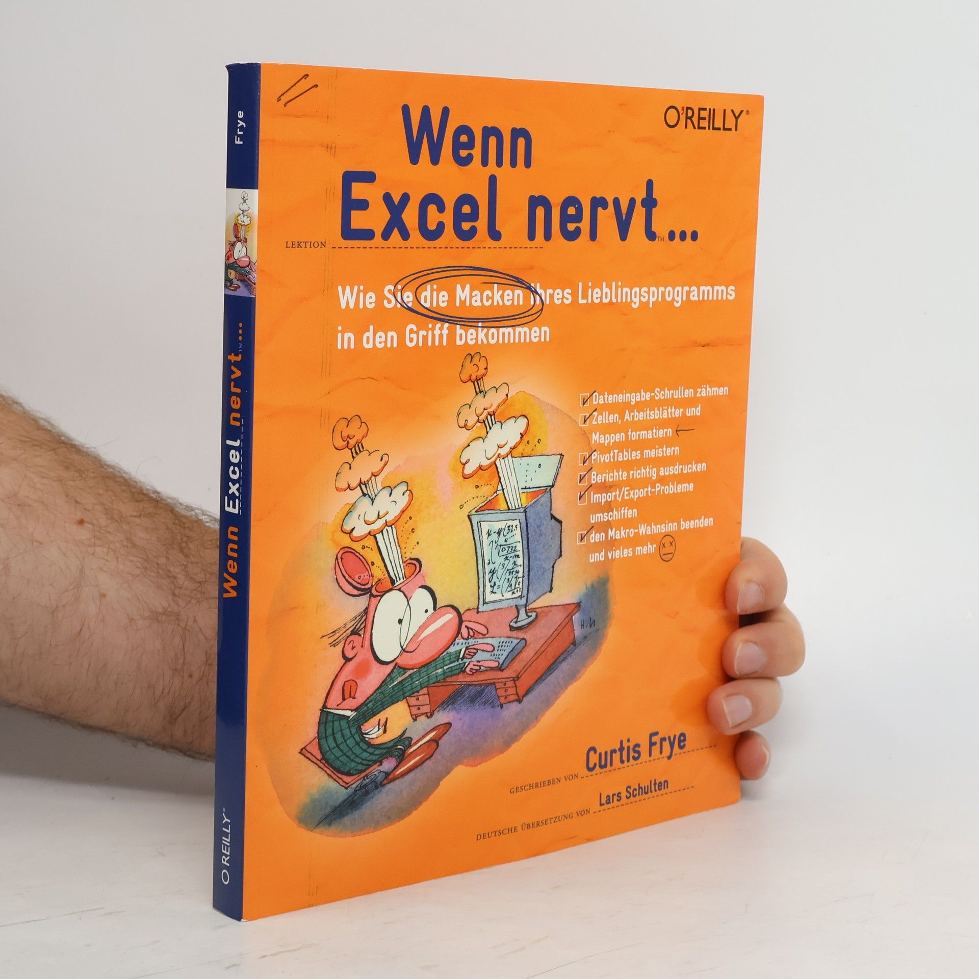 Curtis Frye Wenn Excel nervt ...