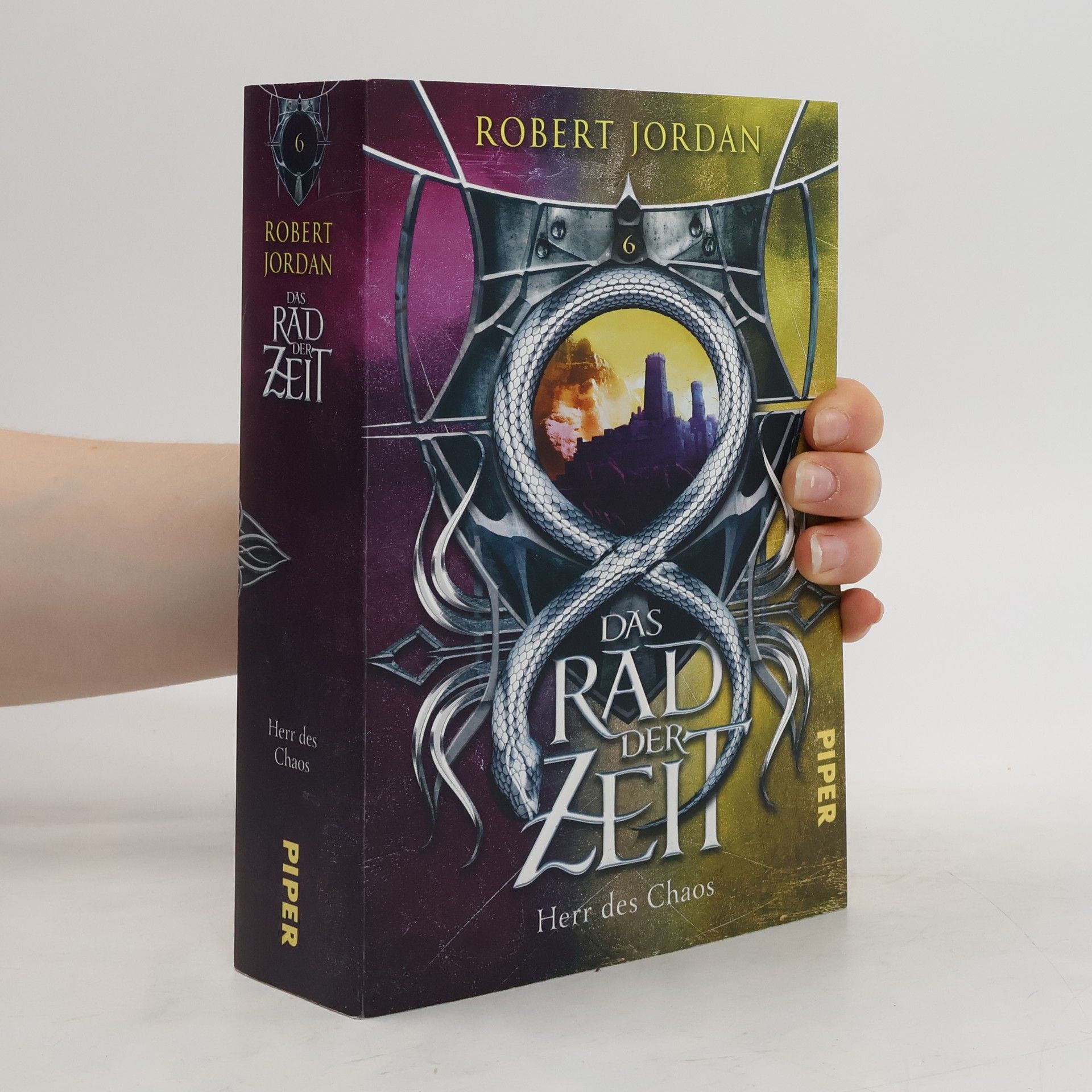 Robert Jordan Das Rad der Zeit 6