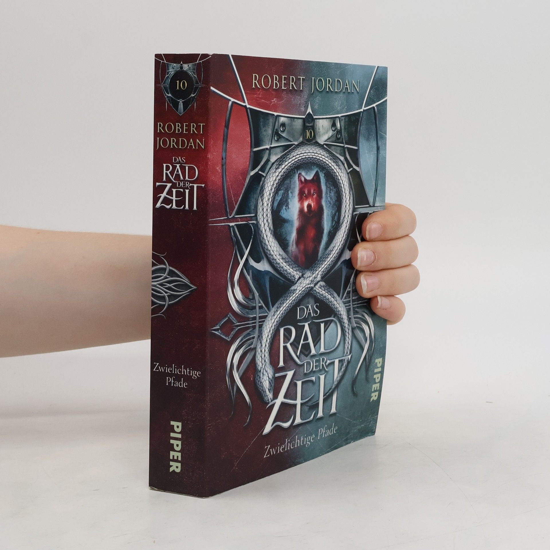 Robert Jordan Das Rad der Zeit 10