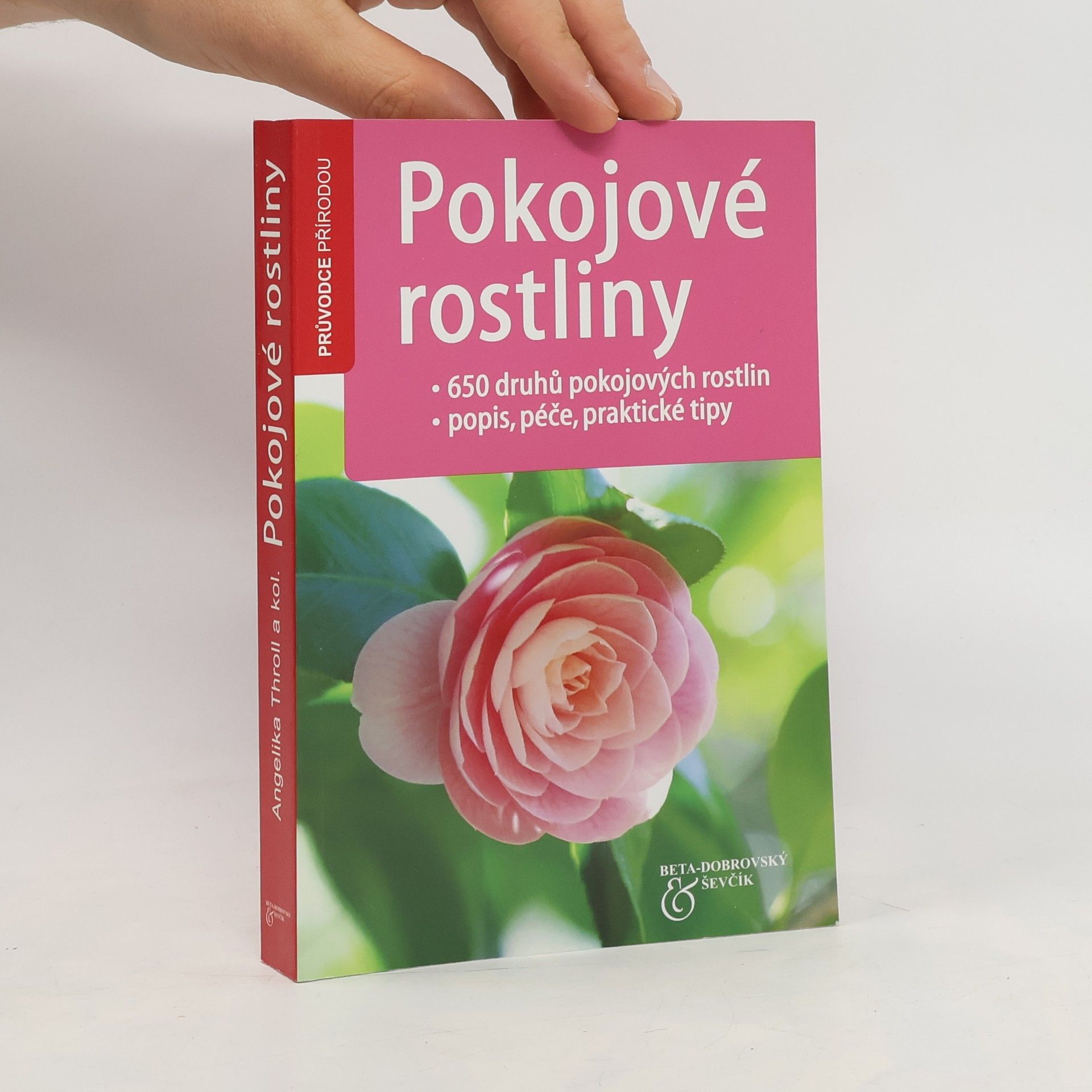 Angelika Throll Pokojové rostliny
