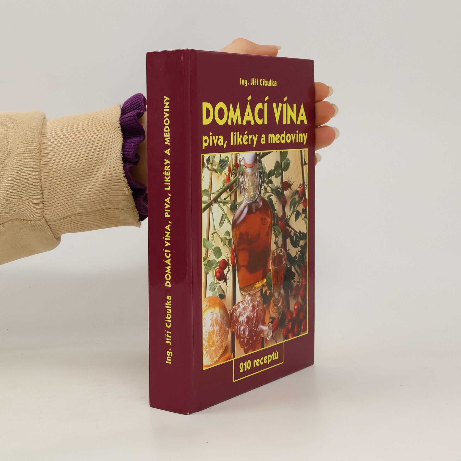 Jiří Cibulka Domácí vína: Piva, likéry a medoviny