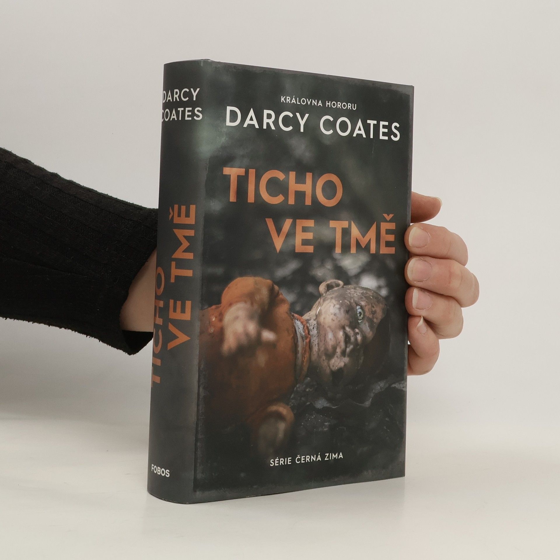Darcy Coates Ticho ve tmě