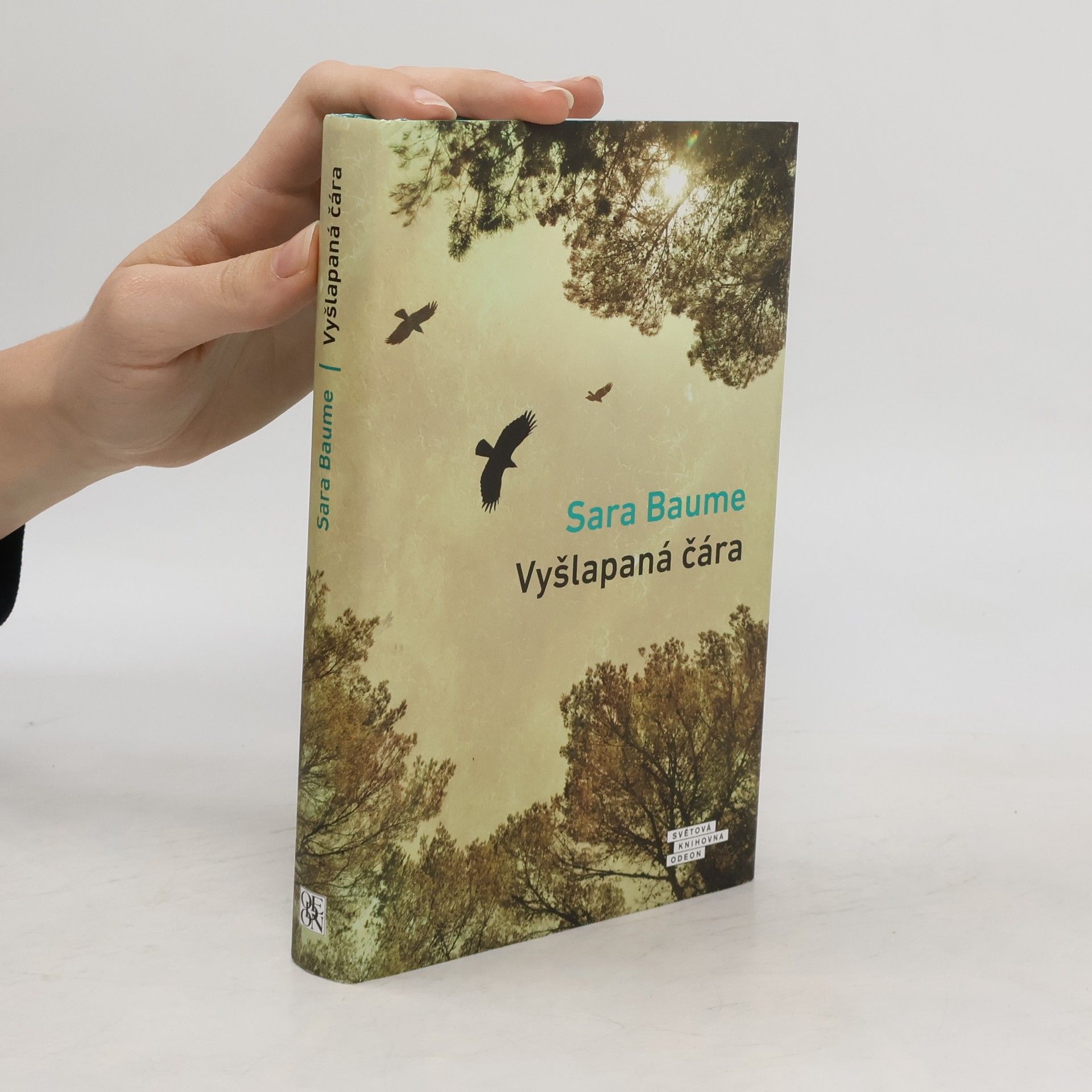 Sara Baume Vyšlapaná čára