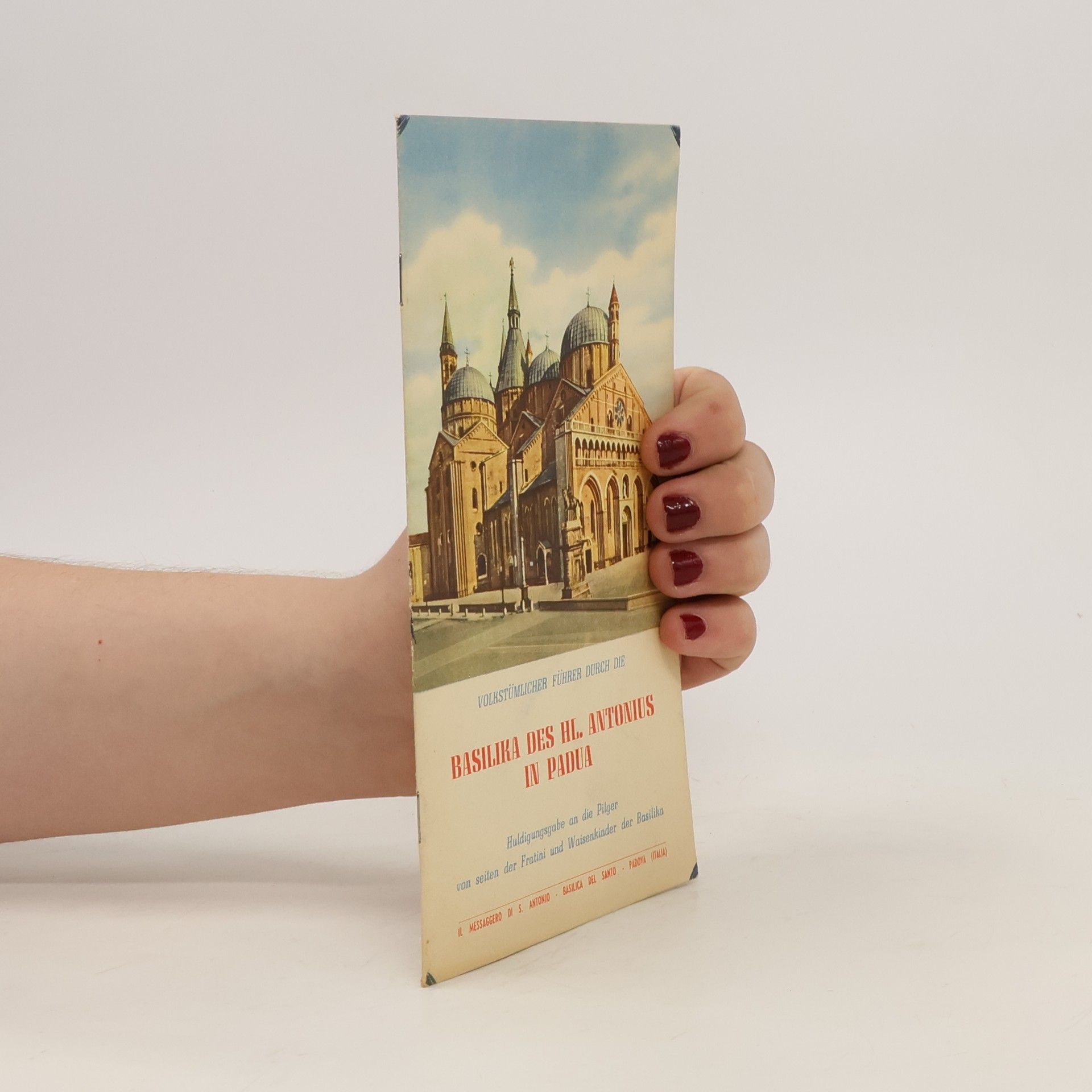 Auteurscollectief Basilika des hl. Antonius in Padua