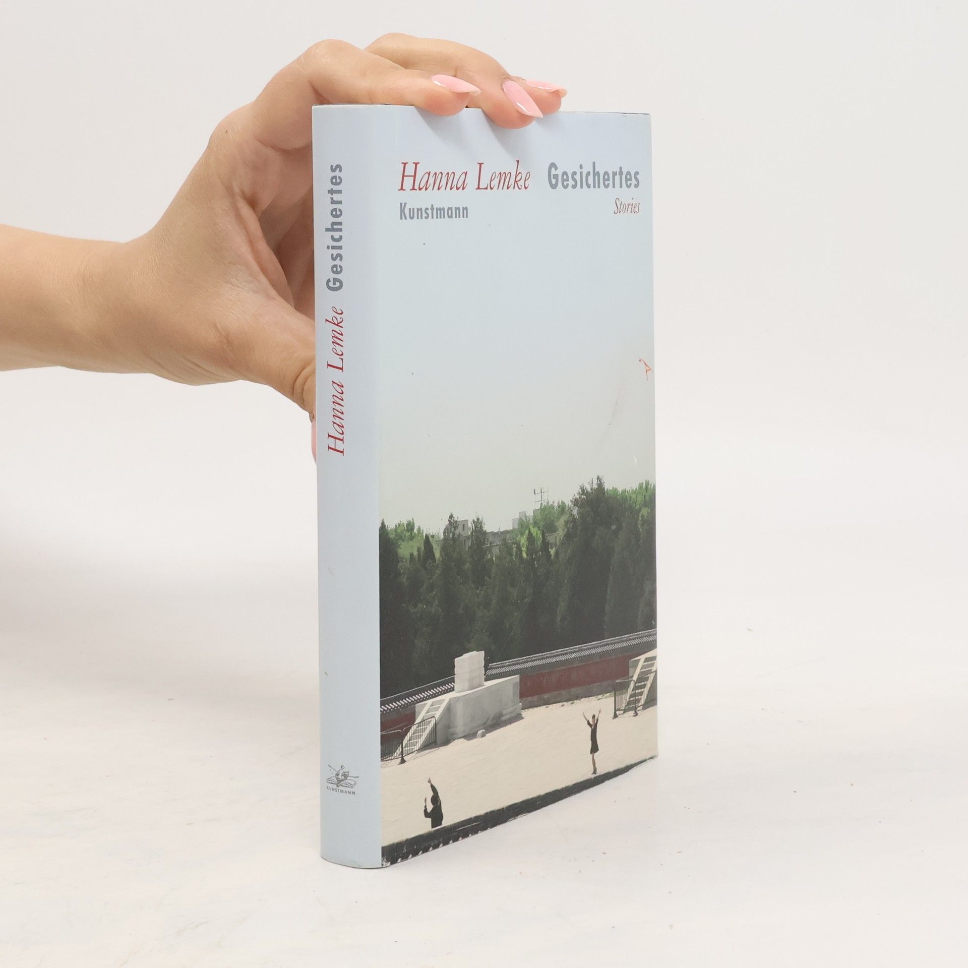Hanna Lemke Gesichertes : Stories
