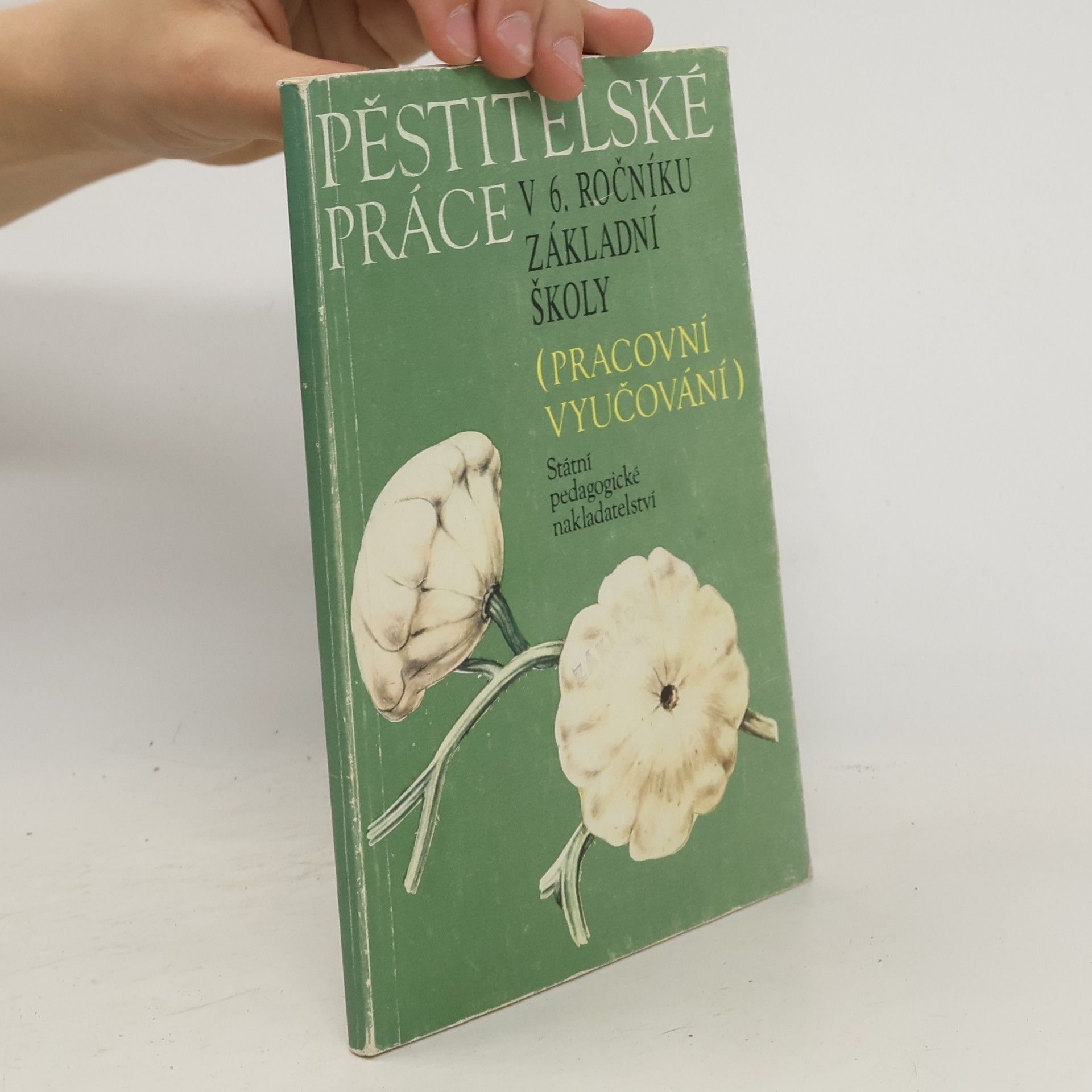 Collectif d'auteurs Pěstitelské práce v 6. ročníku základná školy (pracovní vyučování)