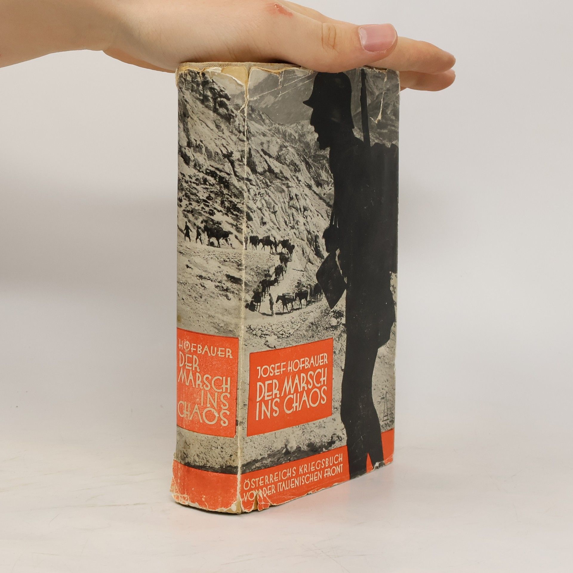 Der Marsch ins Chaos