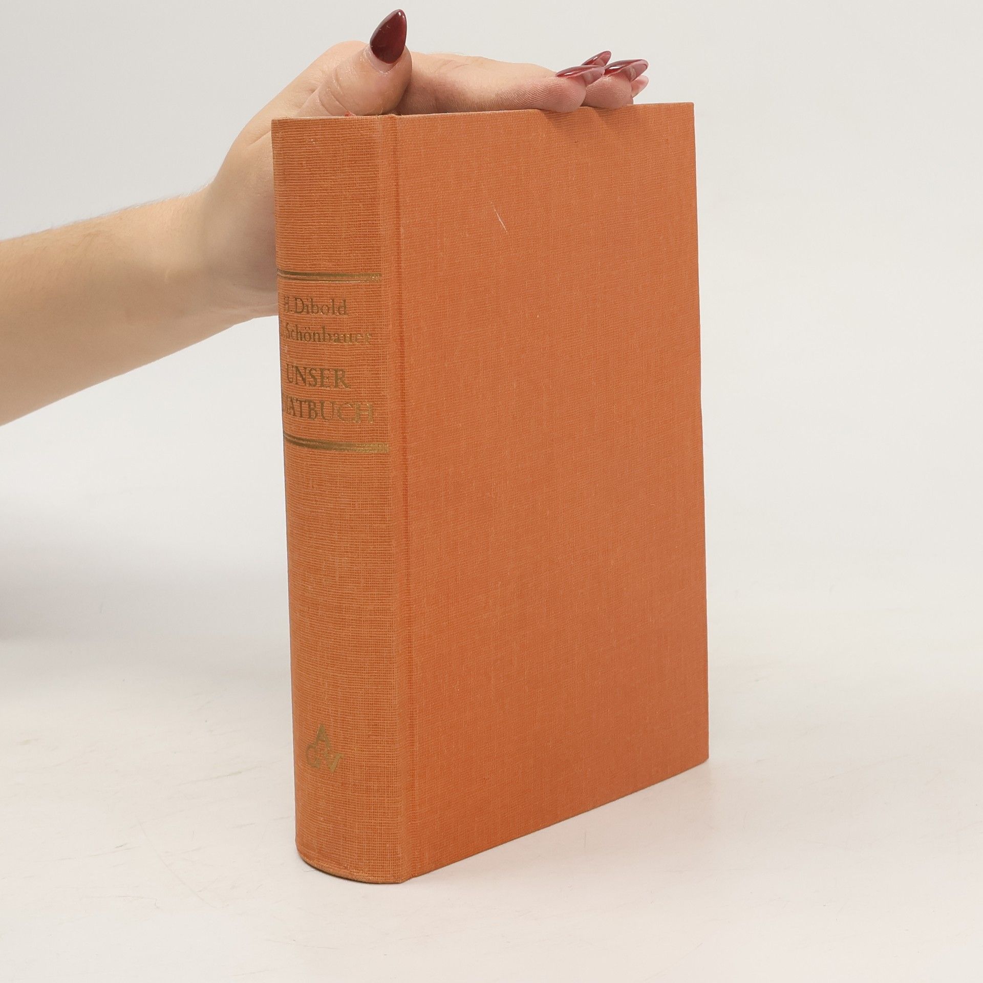 Hans Dibold Unser Diätbuch