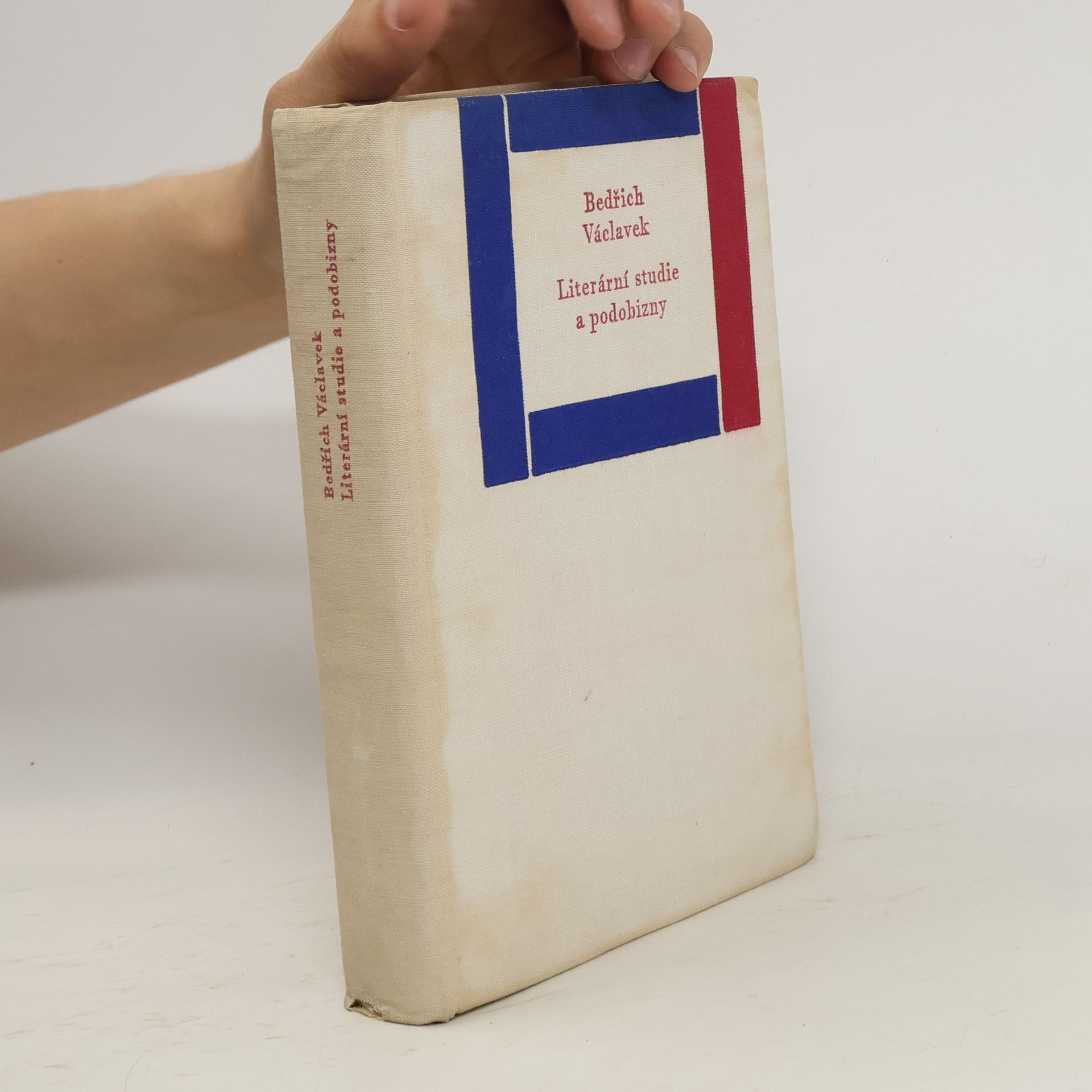 Literární studie a podobizny