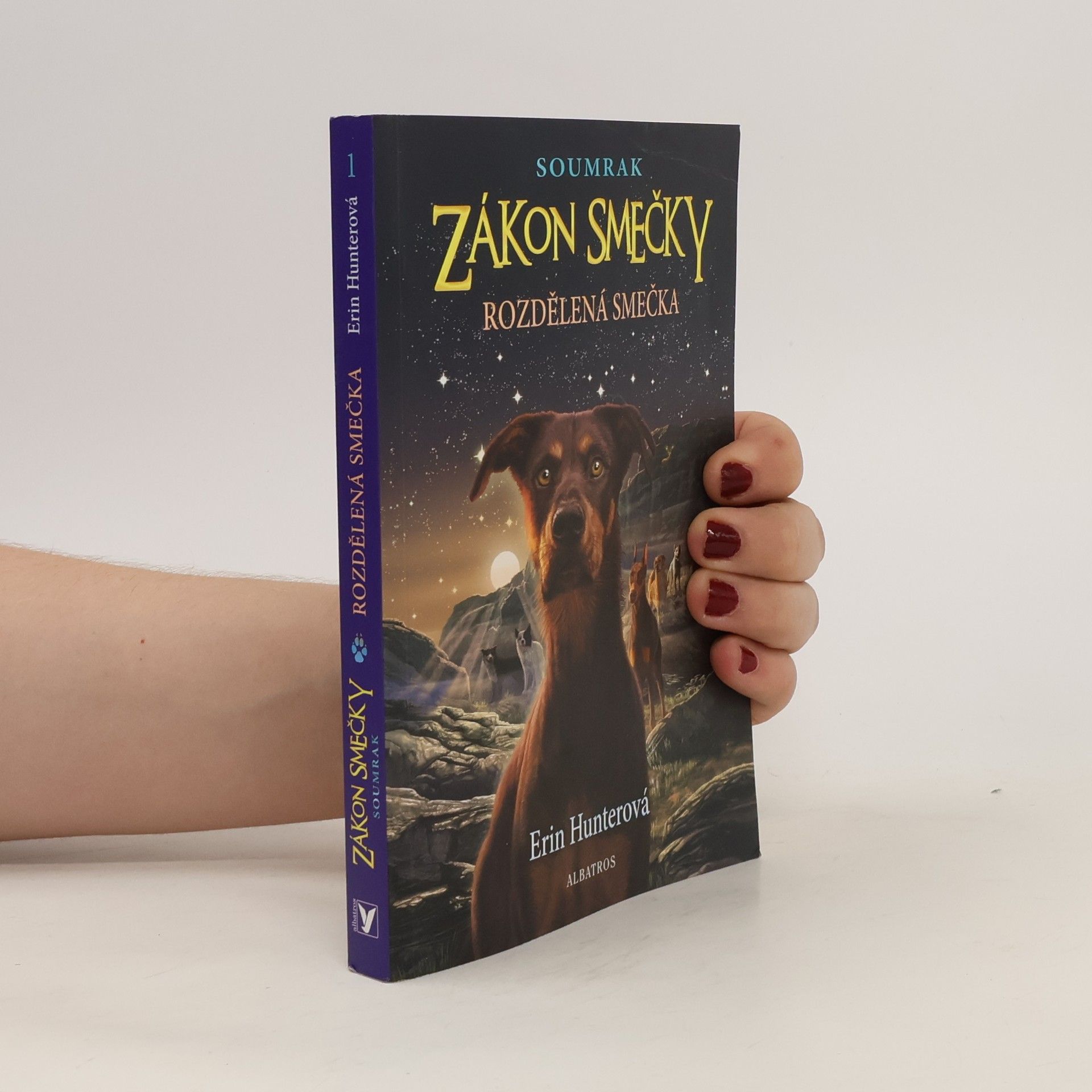 Erin Hunter Rozdělená smečka
