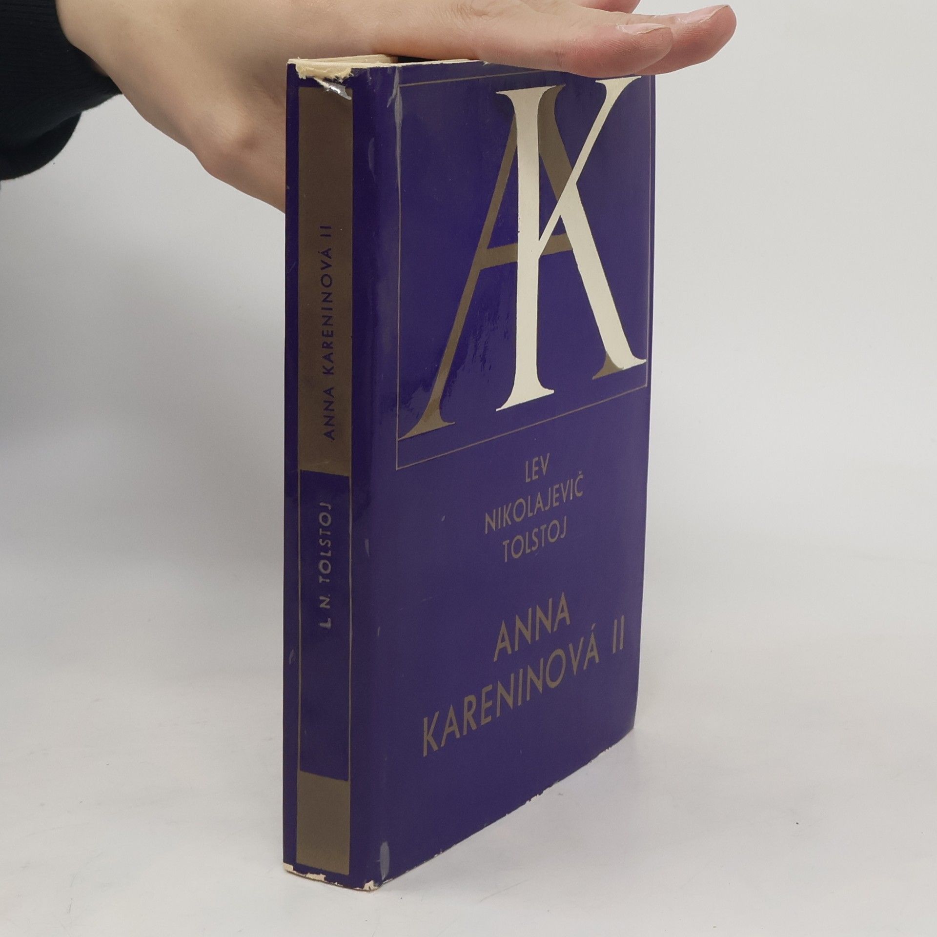 Lew Nikolajewitsch Tolstoi Anna Kareninová II.