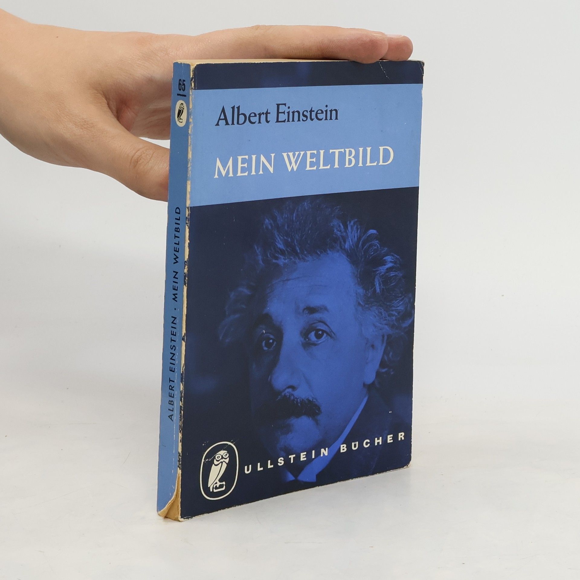 Albert Einstein Mein Weltbild