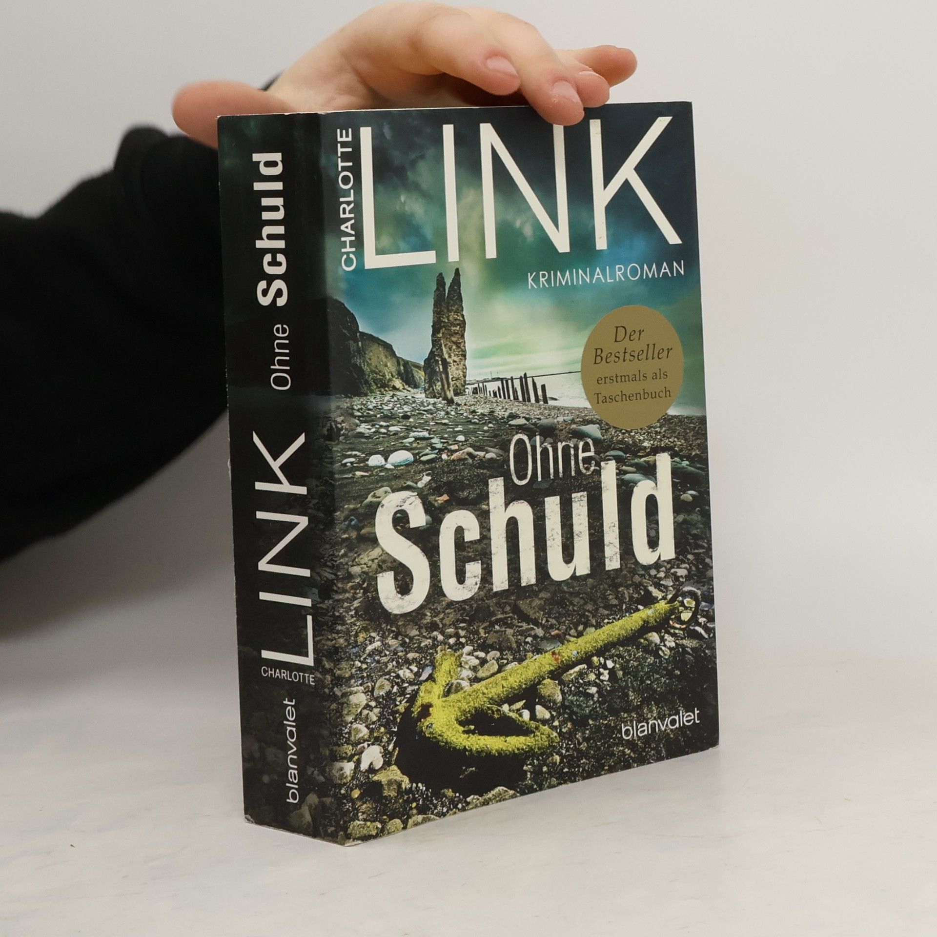 Charlotte Link Ohne Schuld