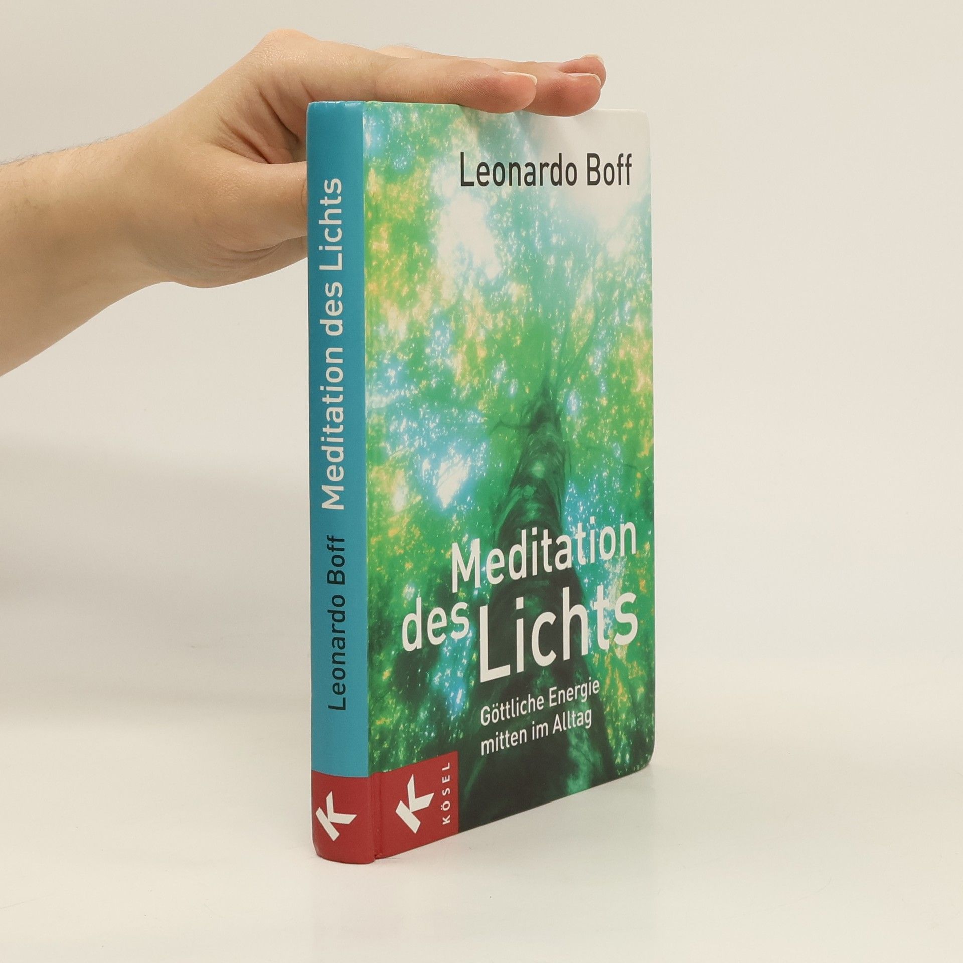 Leonardo Boff Meditation des Lichts