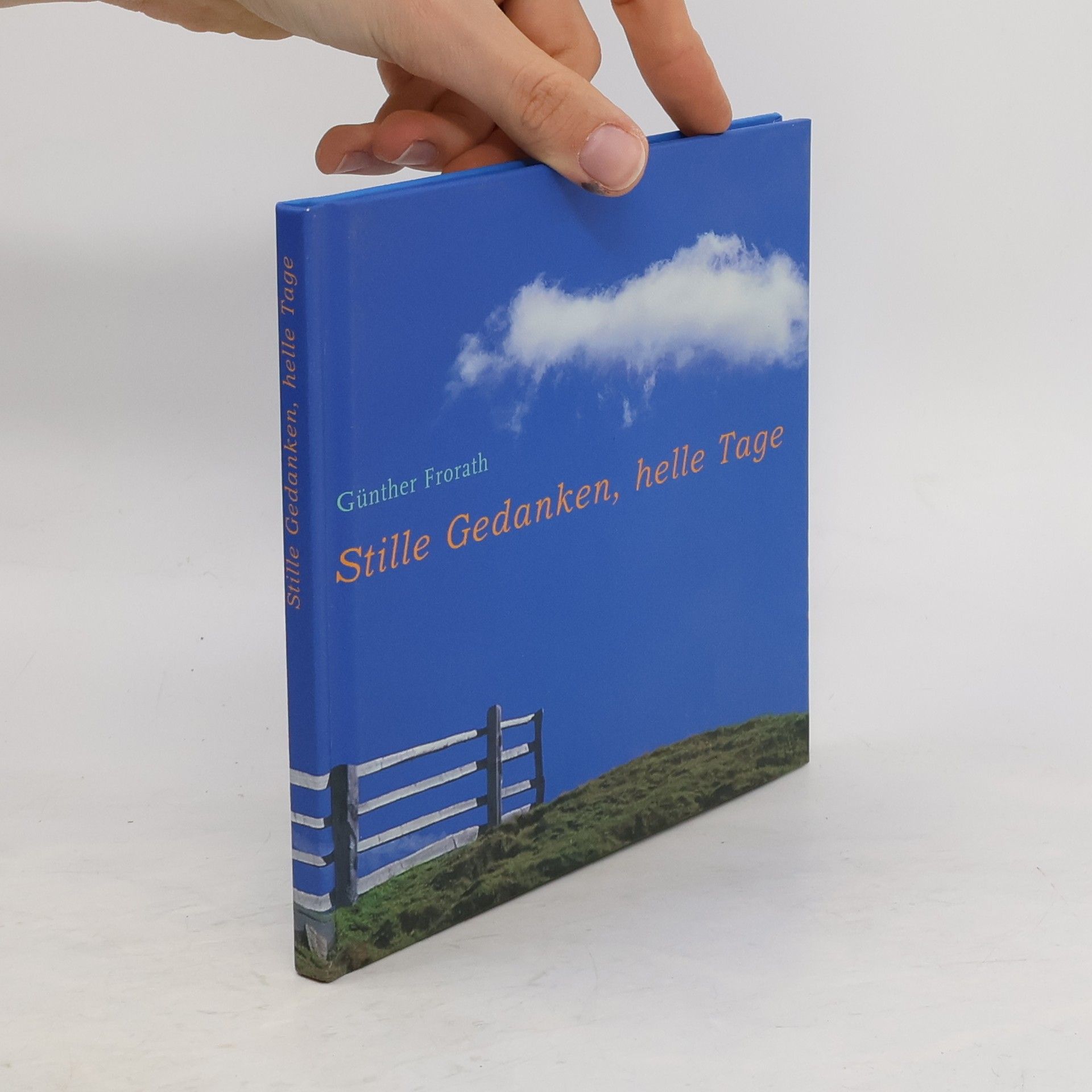Günther Frorath Stille Gedanken, helle Tage