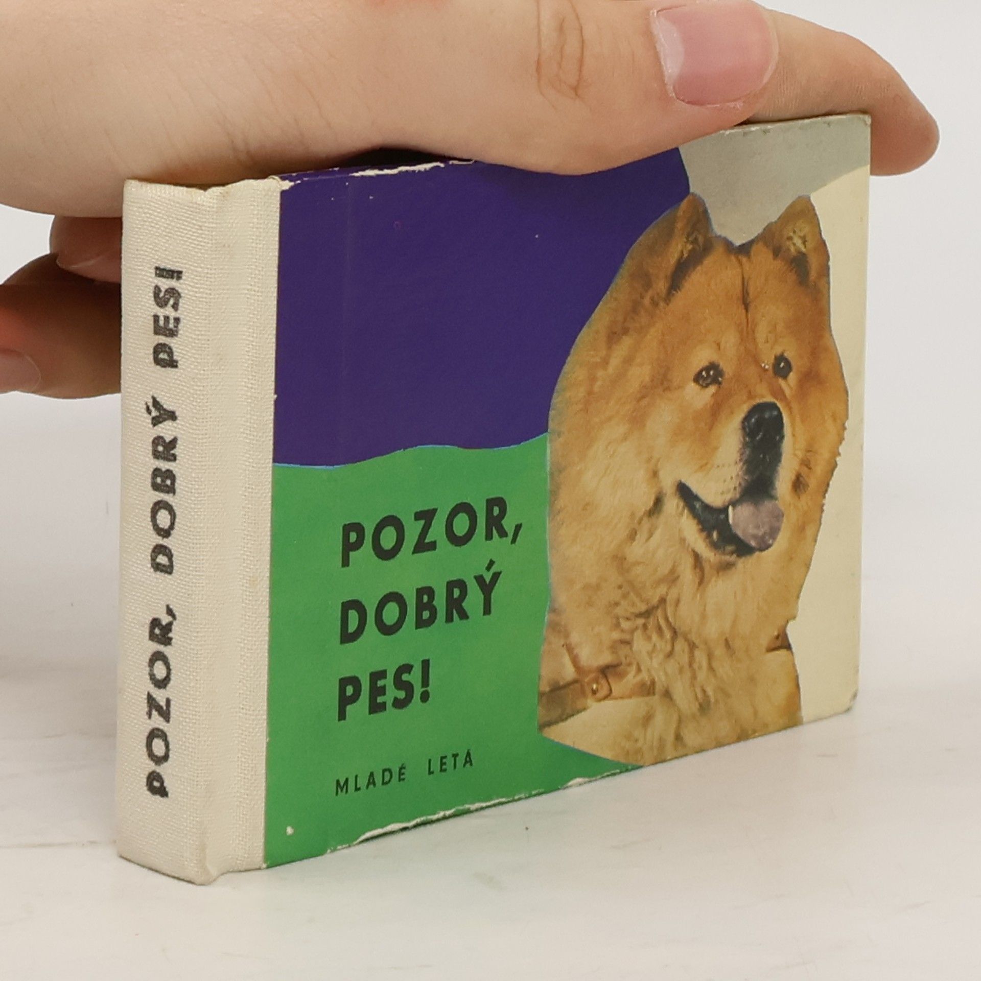 Ján Duračinský Pozor, dobrý pes!