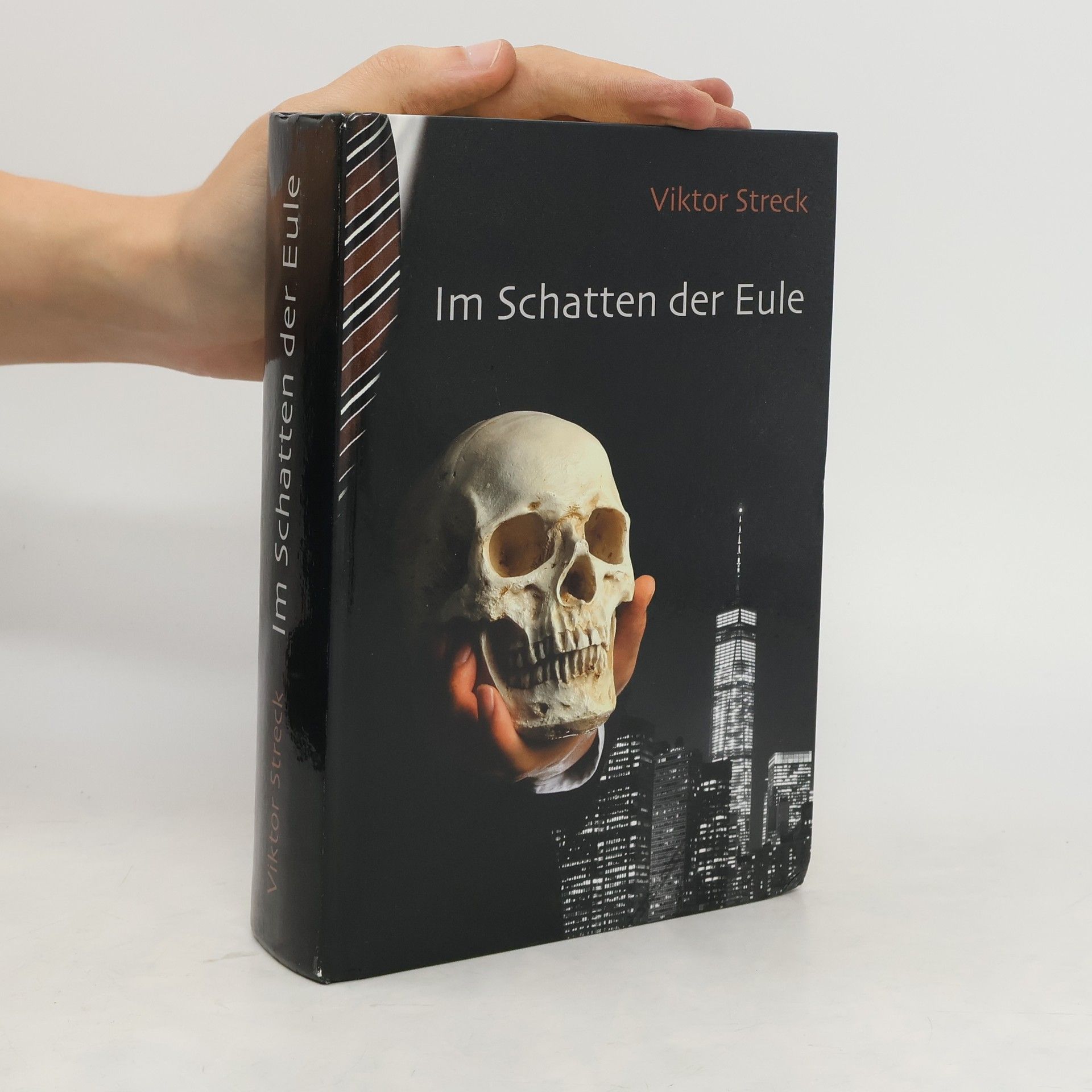 Im Schatten der Eule