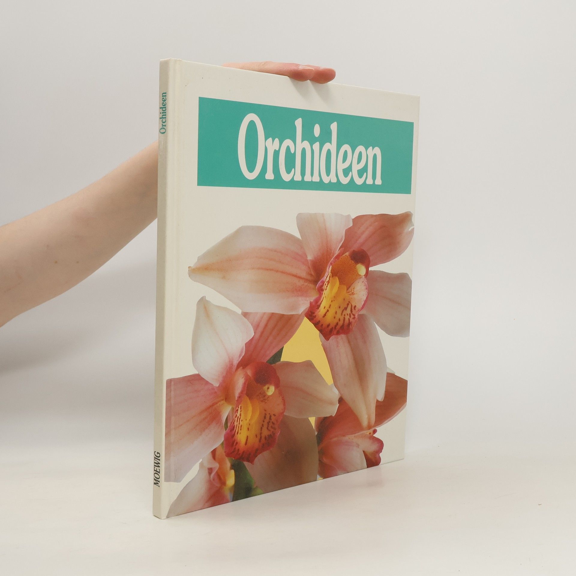 Esther Dorn Orchideen