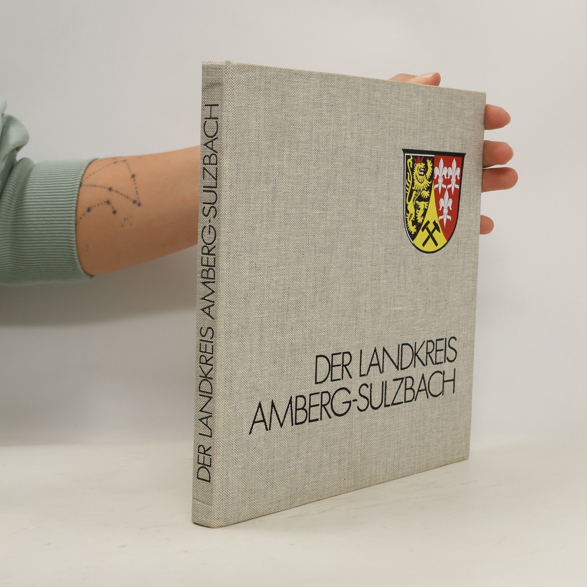 Collectif d'auteurs Der Landkreis Amberg Sulzbach